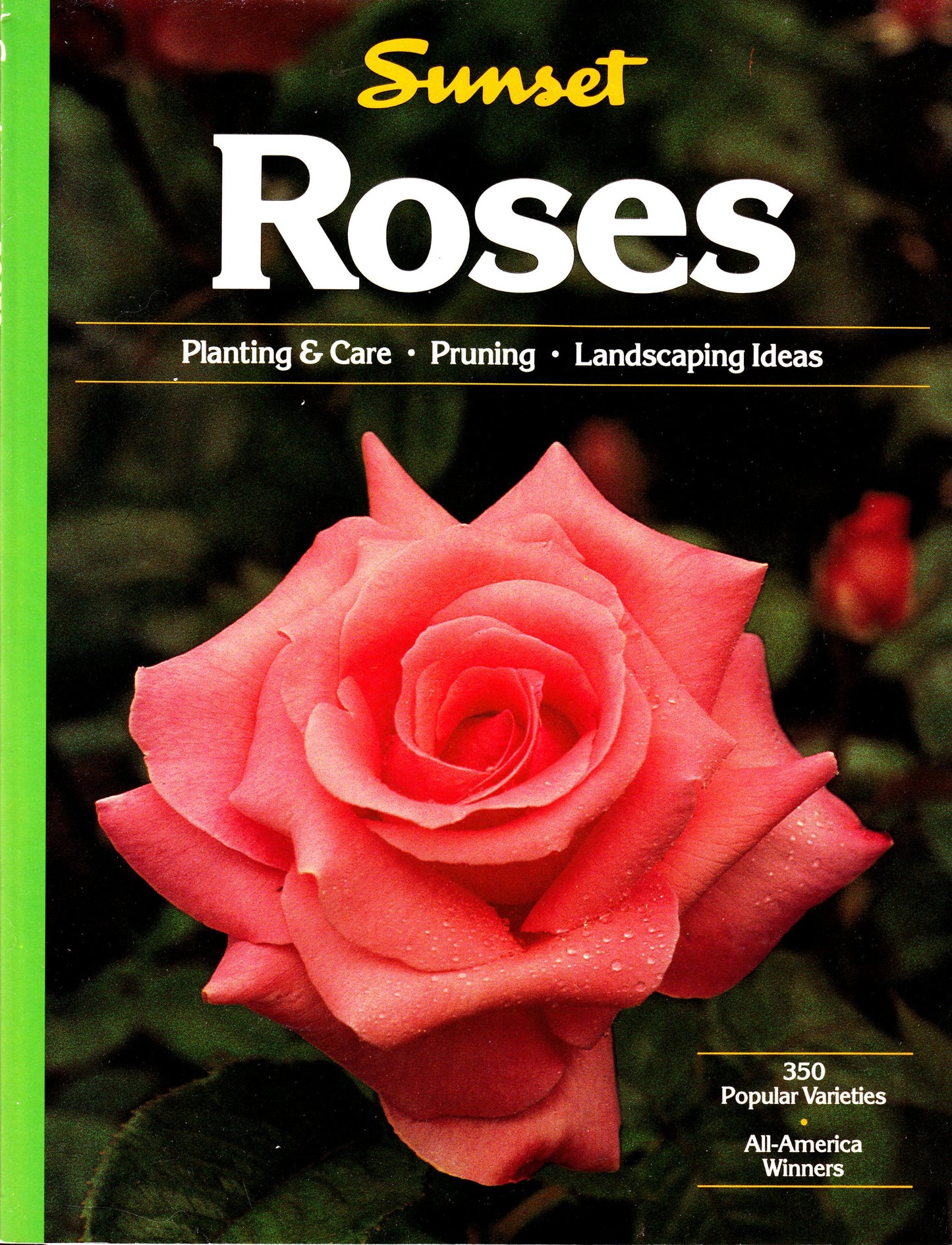 Roses (Revised) book cover