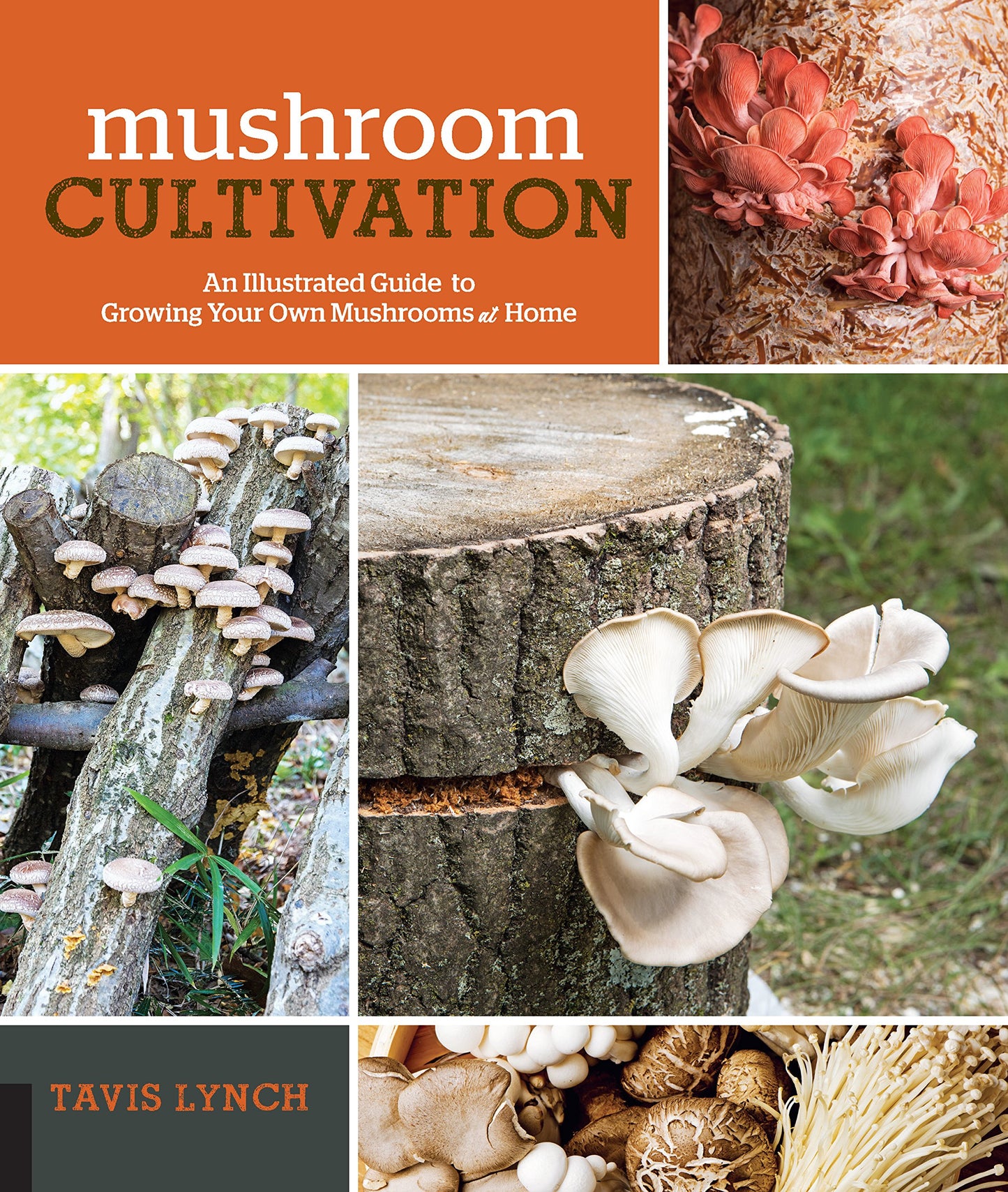 Mushroom Cultivation: An Illustrated Guide to Growing Your Own Mushrooms at Home book cover