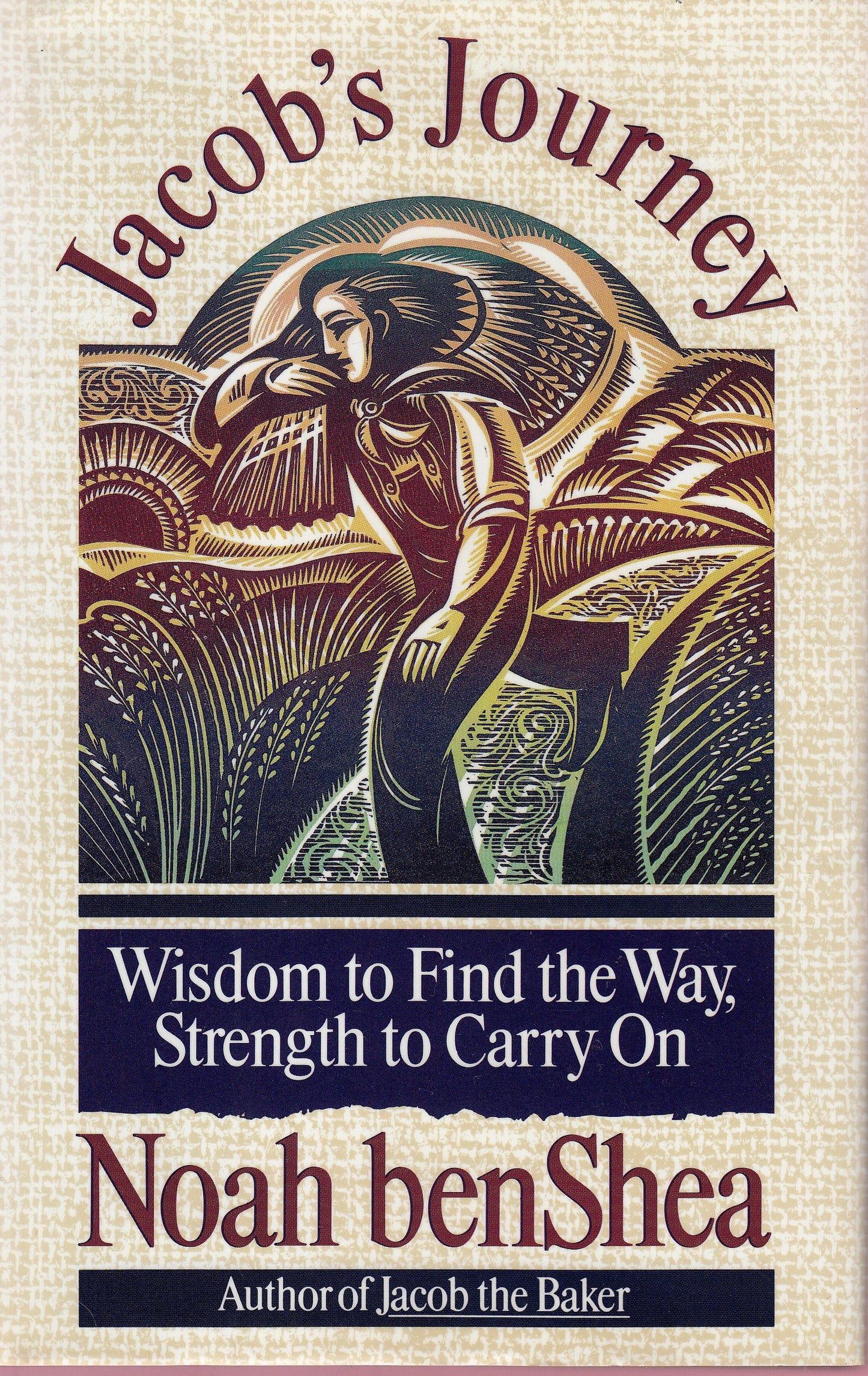 Jacob's Journey: Wisdom to Find the Way, Strength to Carry on book cover