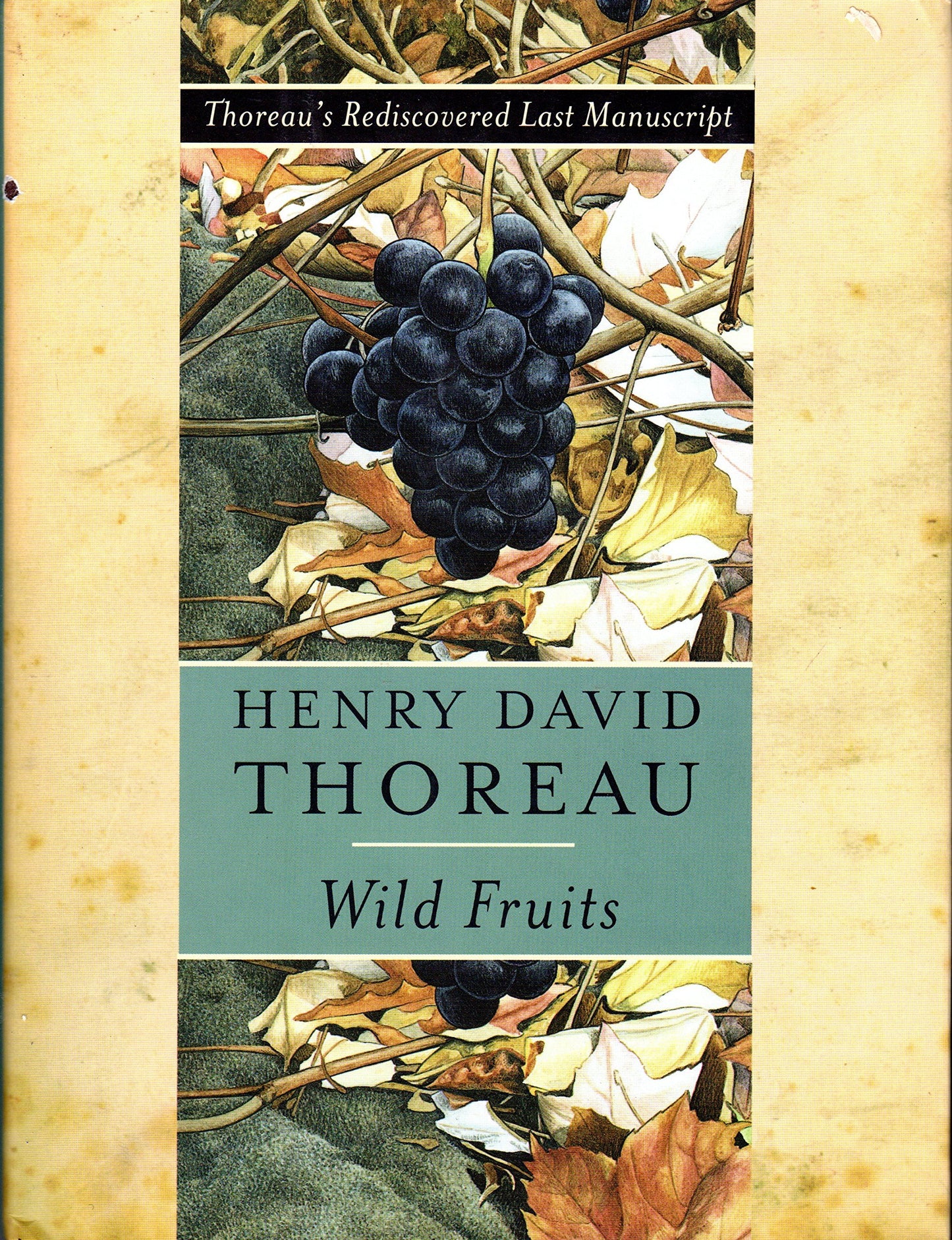 Wild Fruits: Thoreau's Rediscovered Last Manuscript book cover