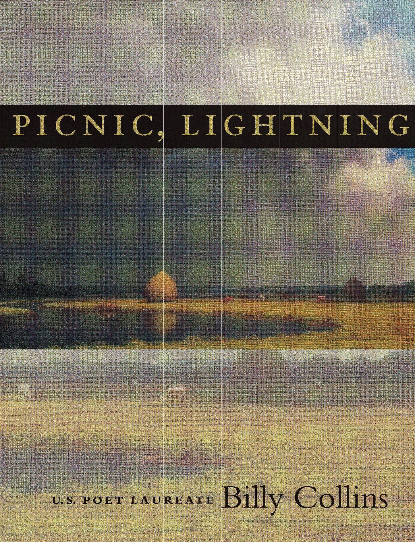 Picnic, Lightning book cover