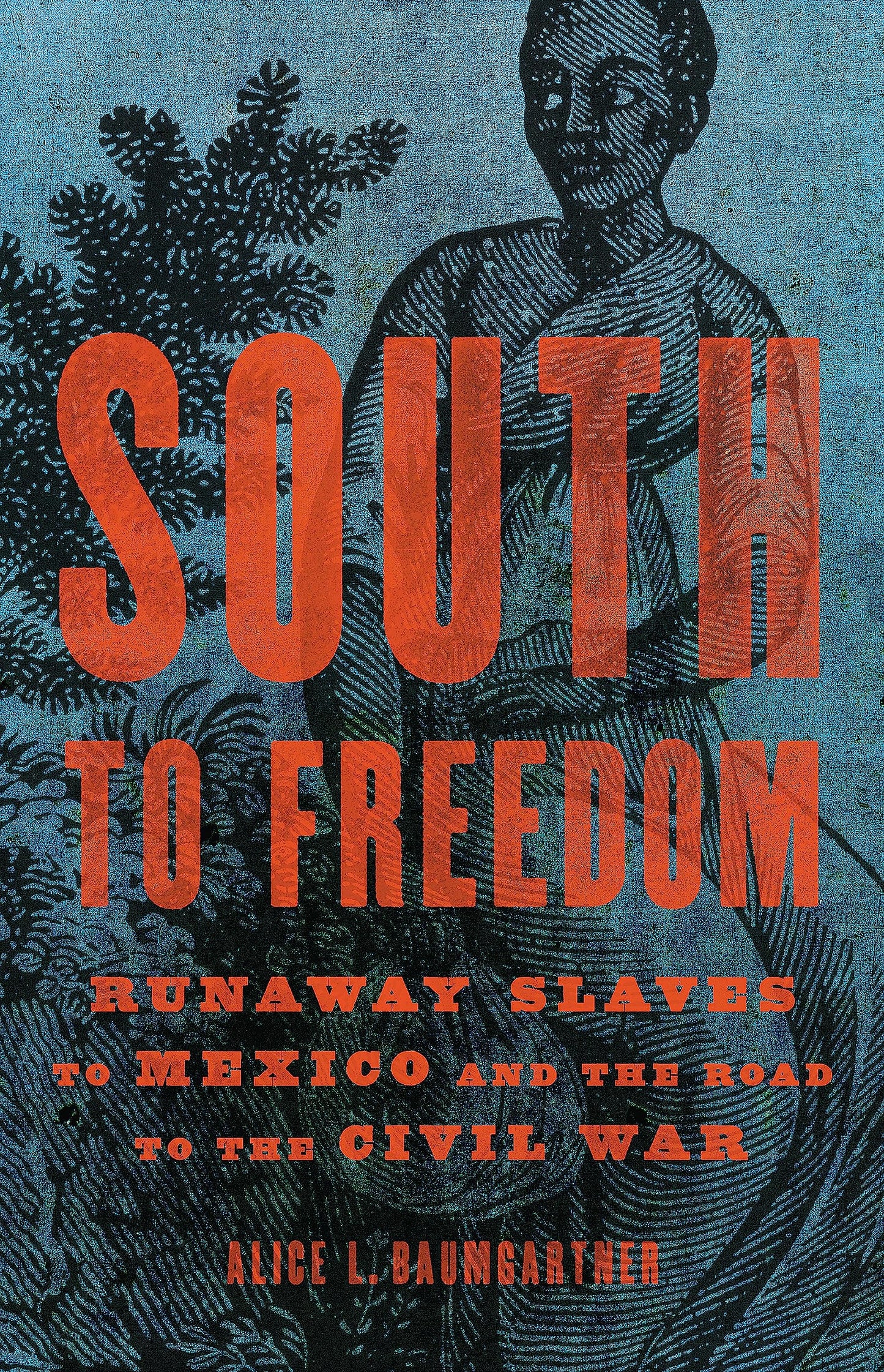 South to Freedom: Runaway Slaves to Mexico and the Road to the Civil War book cover