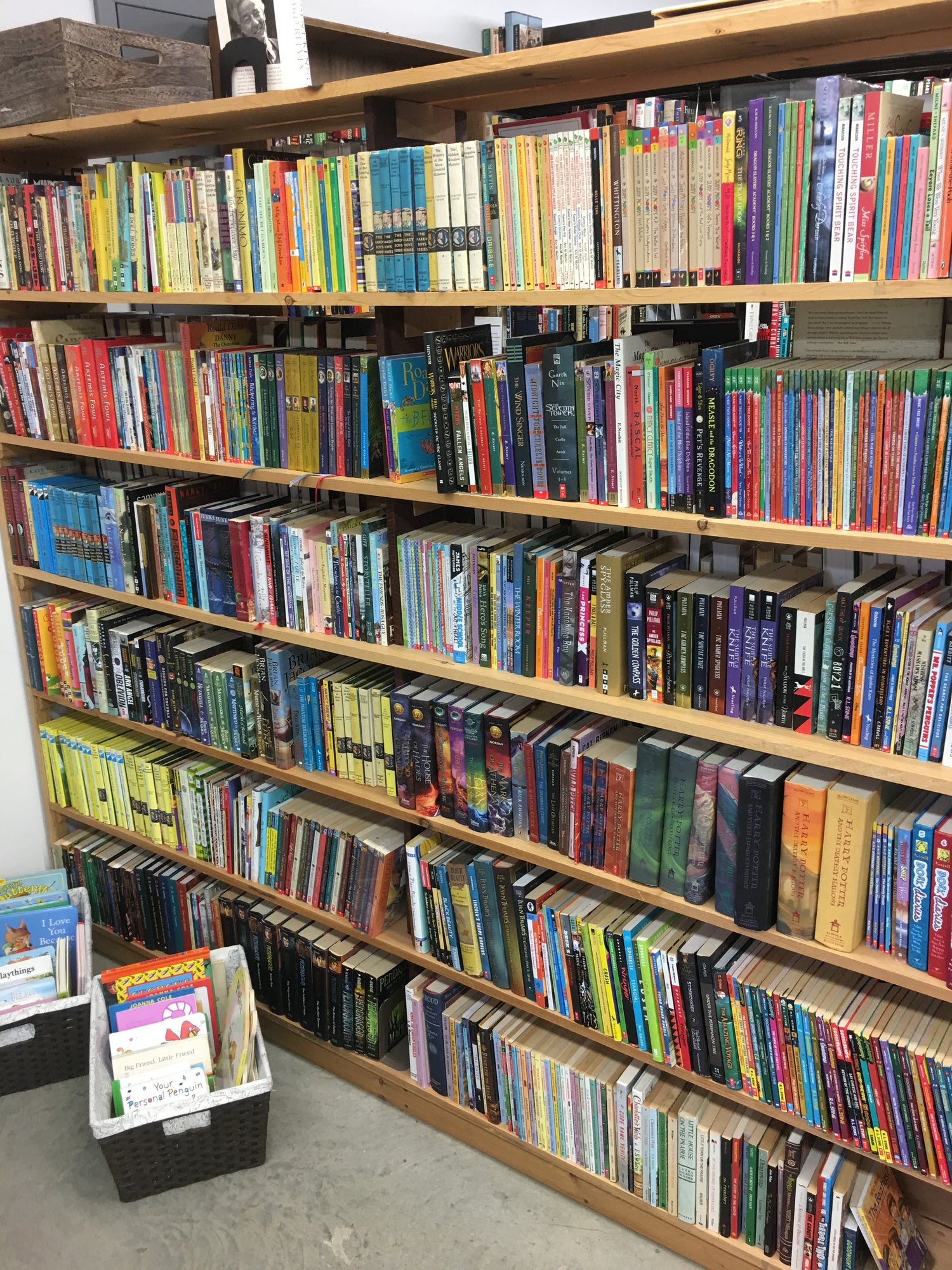 Children's Chapter Books