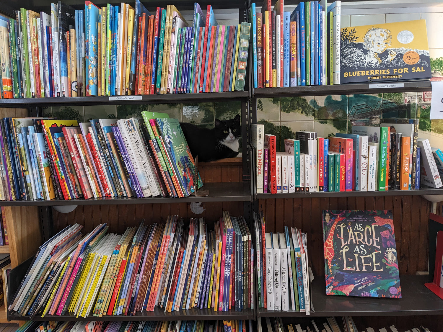 Children's Picture Books