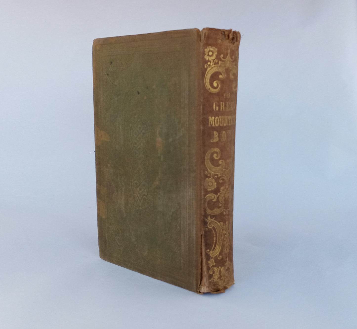 The Green Mountain Boys: A Historical Tale of the Early Settlement of Vermont book cover