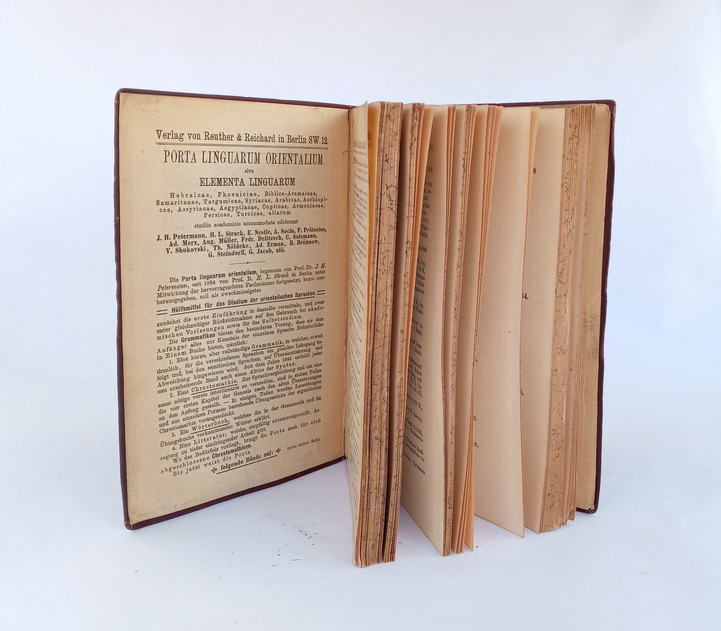 Porta Linguarum Orientalium: Arabische Grammatik: Paradigmen, Litteratur, Übungstücke, und Glossar. book cover