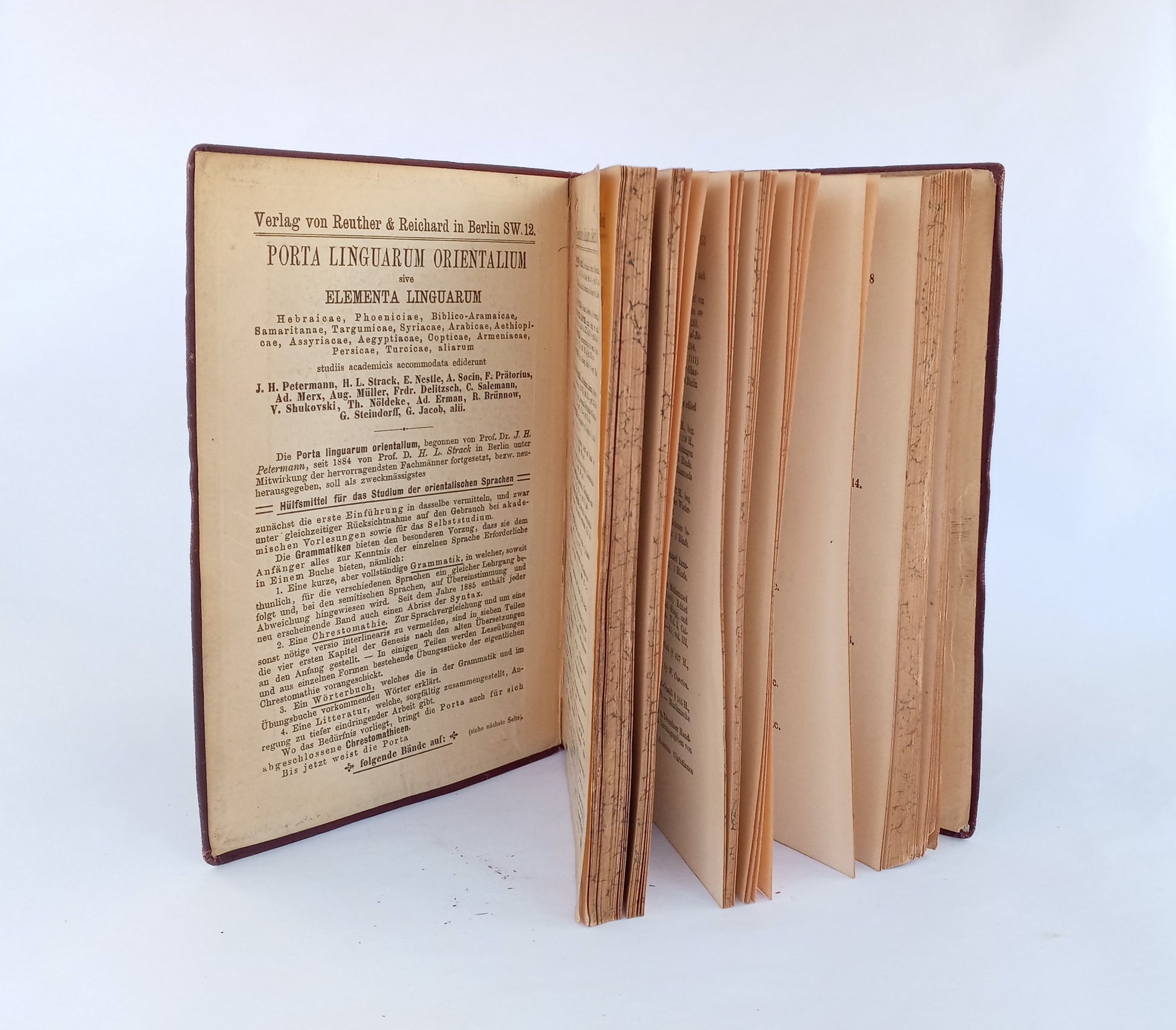 Porta Linguarum Orientalium: Arabische Grammatik: Paradigmen, Litteratur, Übungstücke, und Glossar. book cover
