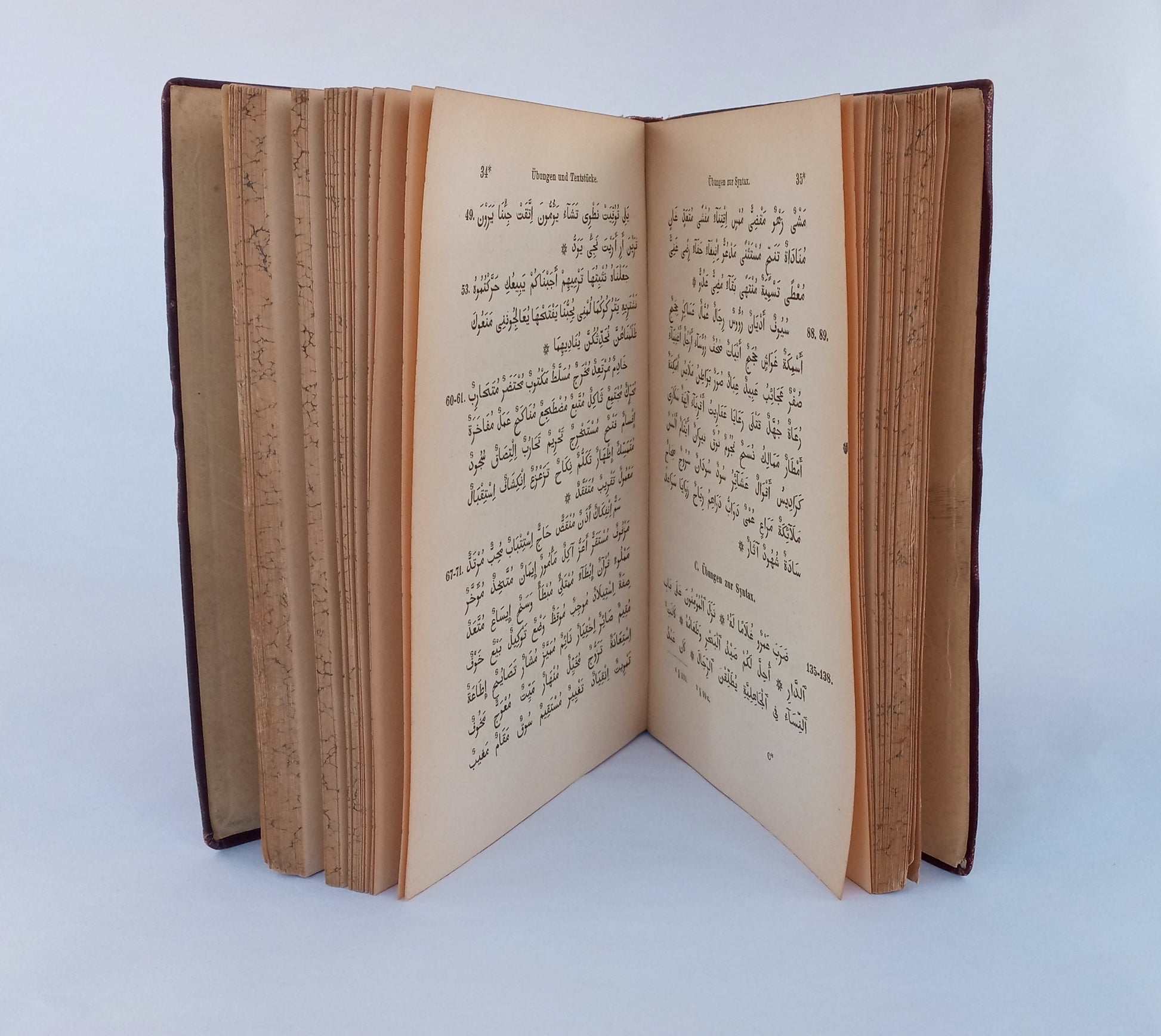 Porta Linguarum Orientalium: Arabische Grammatik: Paradigmen, Litteratur, Übungstücke, und Glossar. book cover