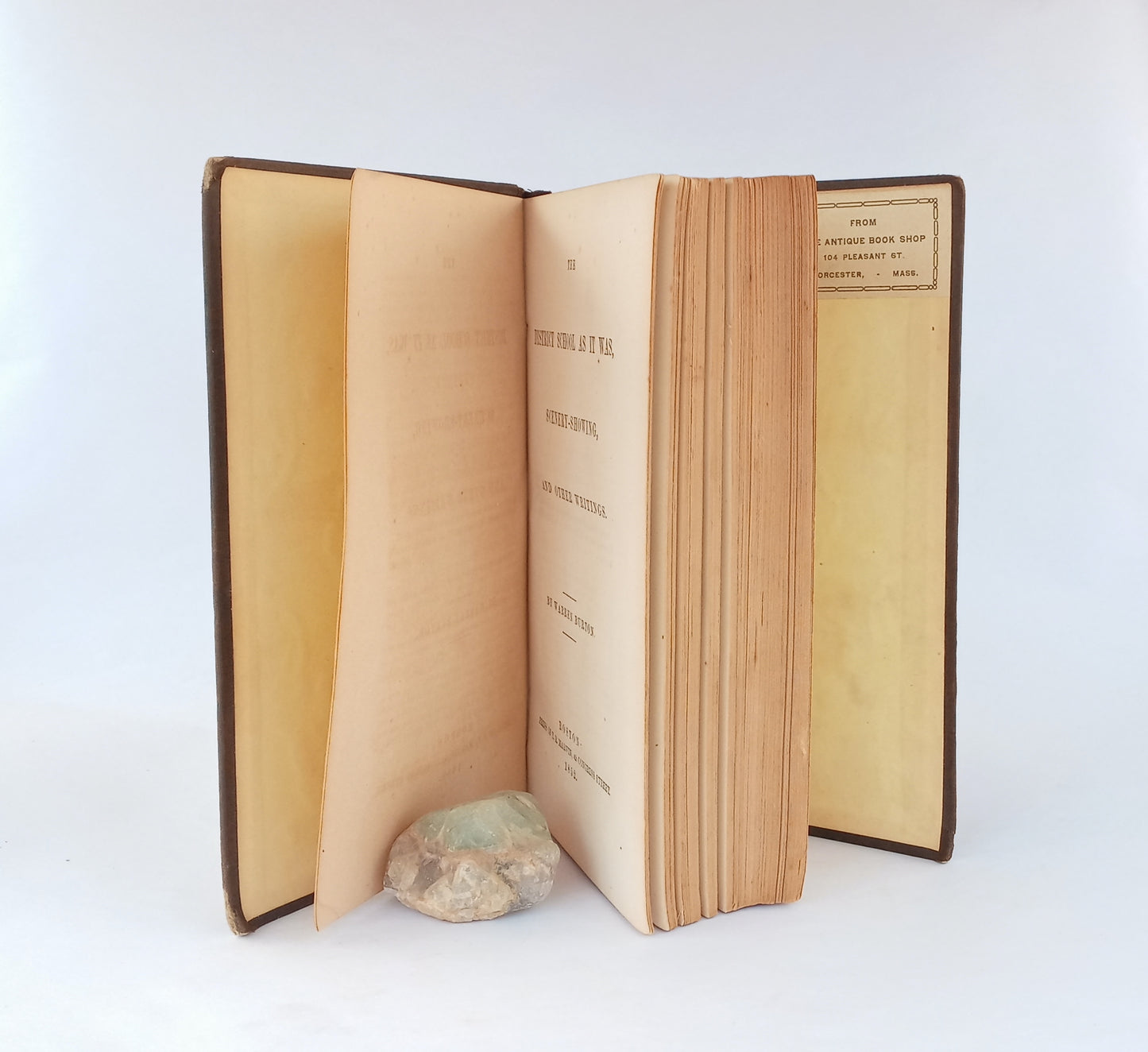 The District School as It Was, Scenery-Showing, and Other Writings book cover