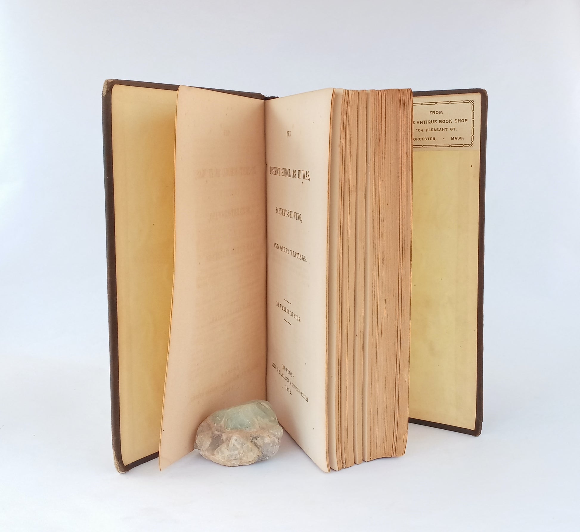 The District School as It Was, Scenery-Showing, and Other Writings book cover