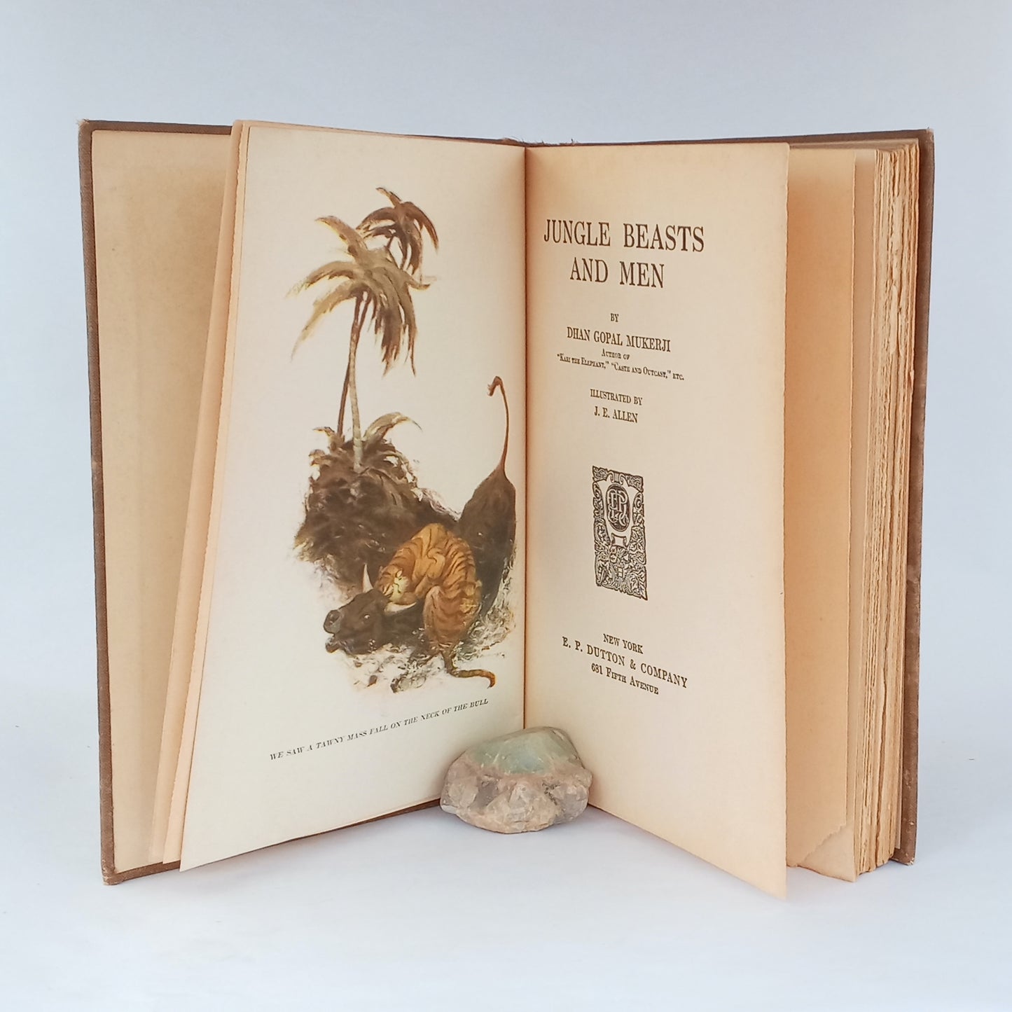 Jungle Beasts and Men book cover