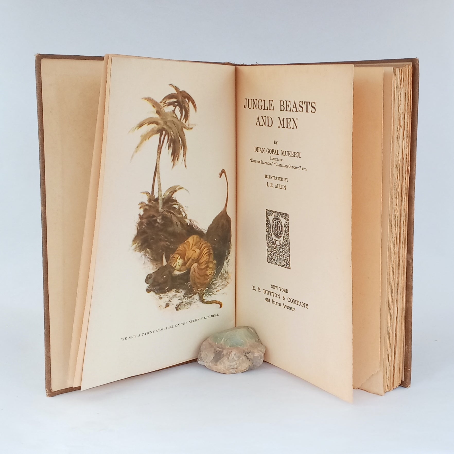 Jungle Beasts and Men book cover