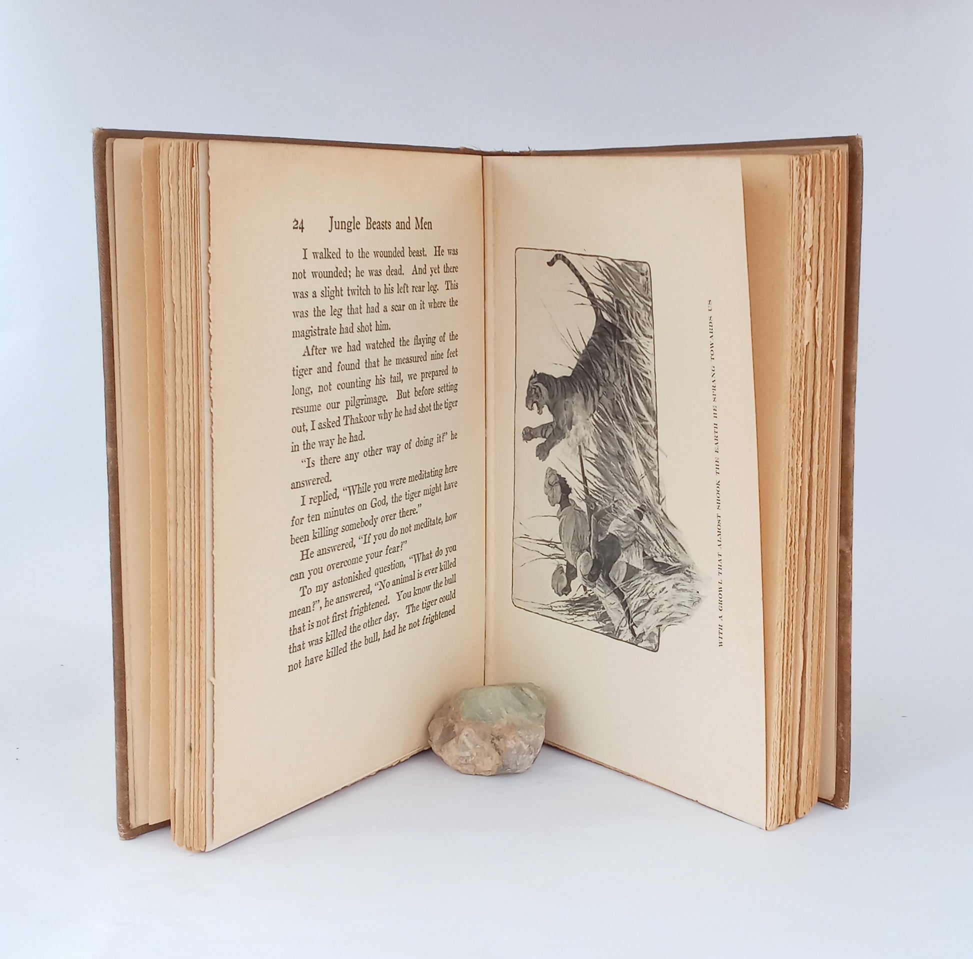 Jungle Beasts and Men book cover