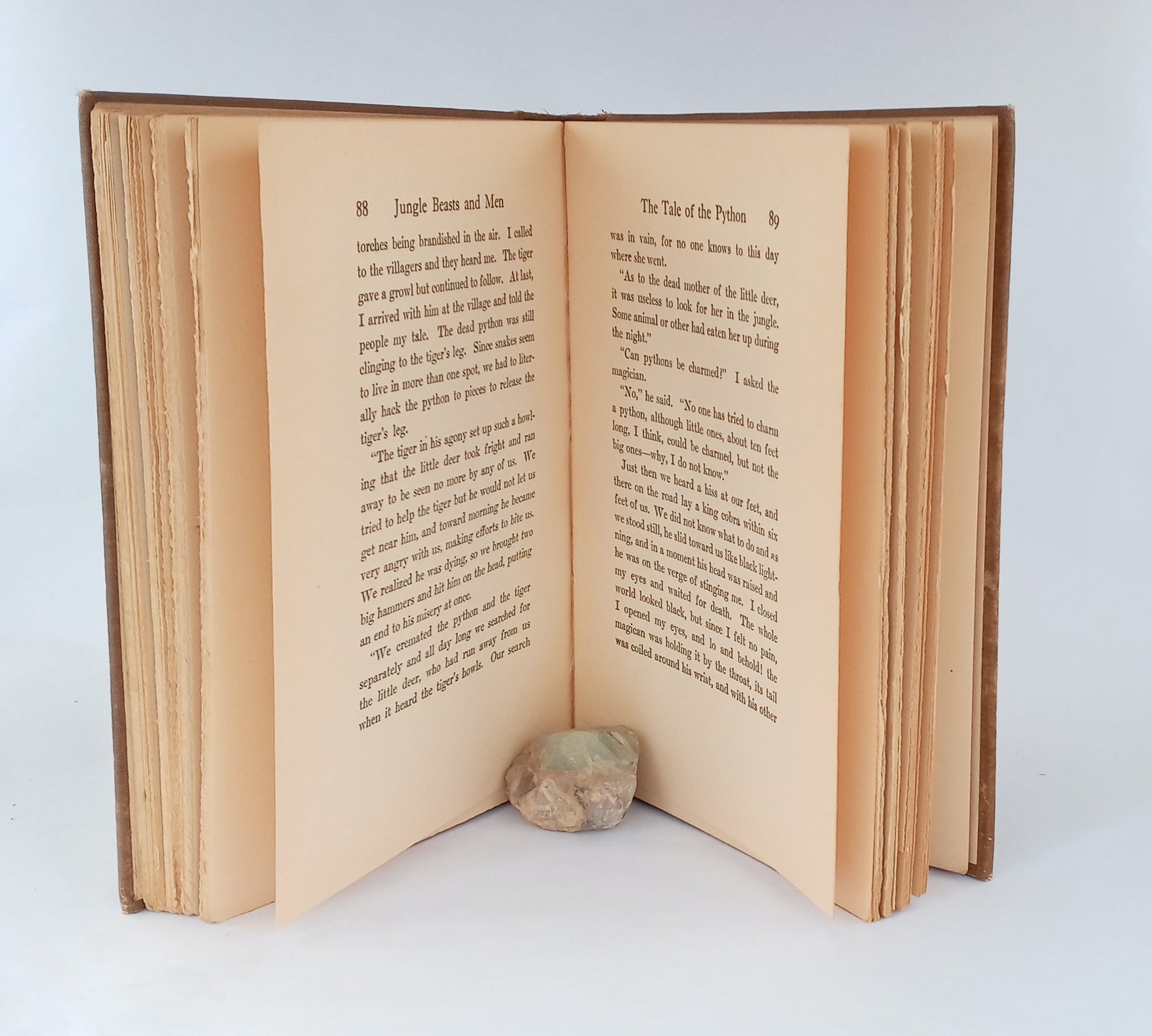 Jungle Beasts and Men book cover