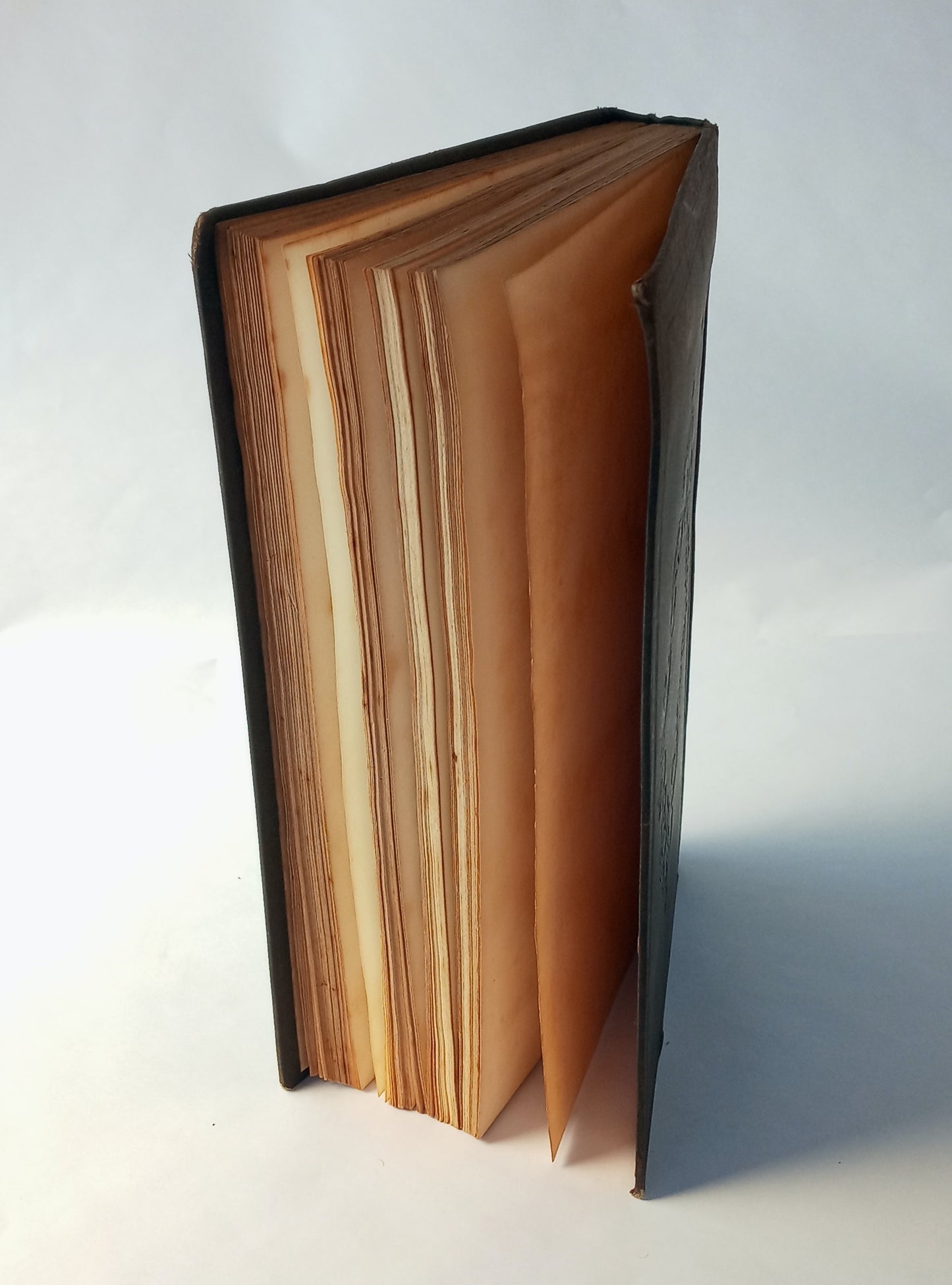 The New England Botanic Medical and Surgical Journal, Volume I book cover