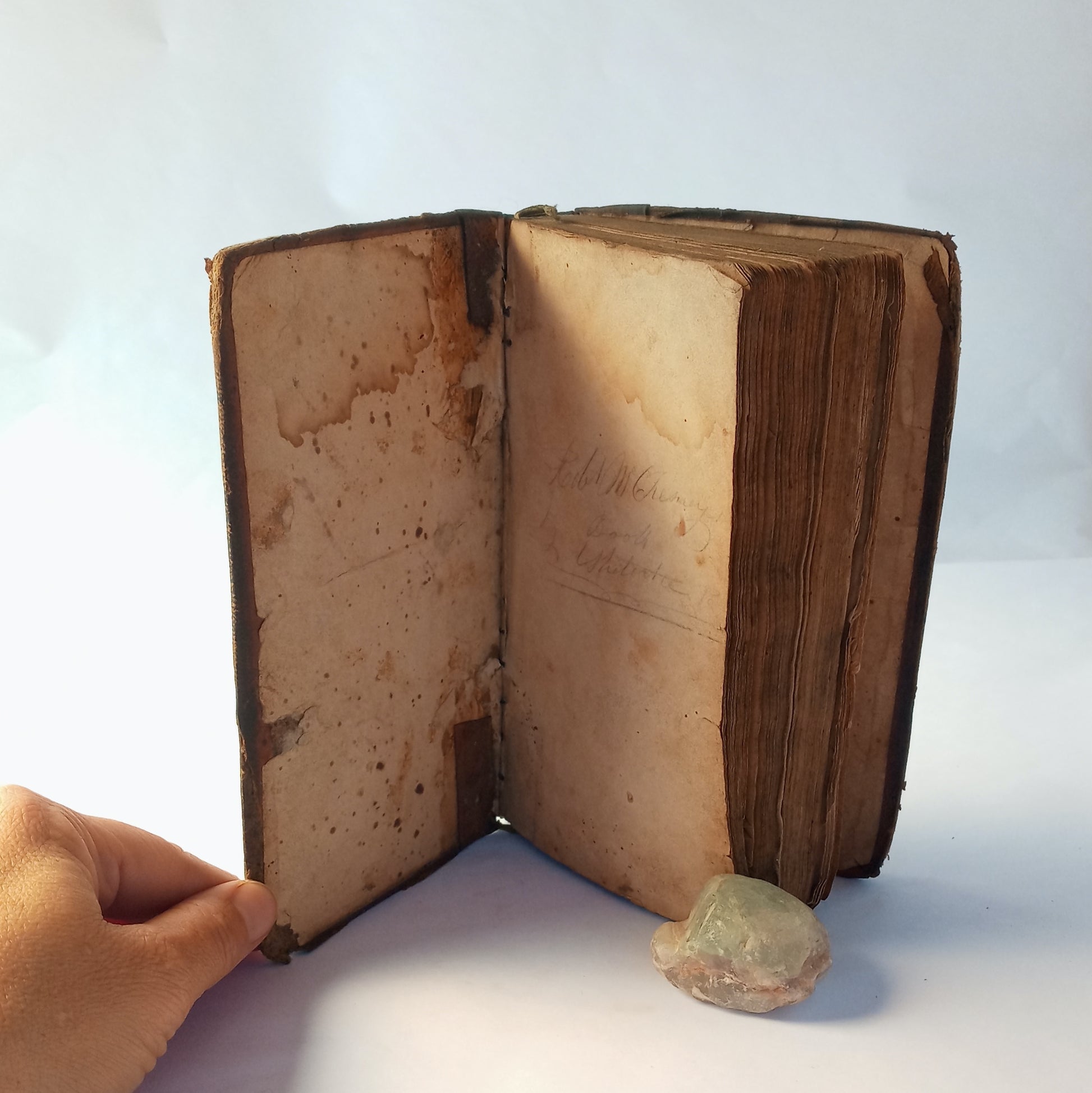 The History of Christian Martyrdom, being an authentic account of the lives, sufferings, and triumphant deaths of many of the primitive as well as Protestant martyrs in different parts of the world; from the birth of the blessed savior to the latest perio