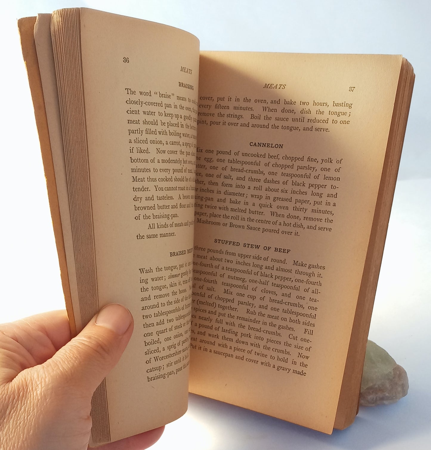 Good Ways in Cooking: A Manual for the Family