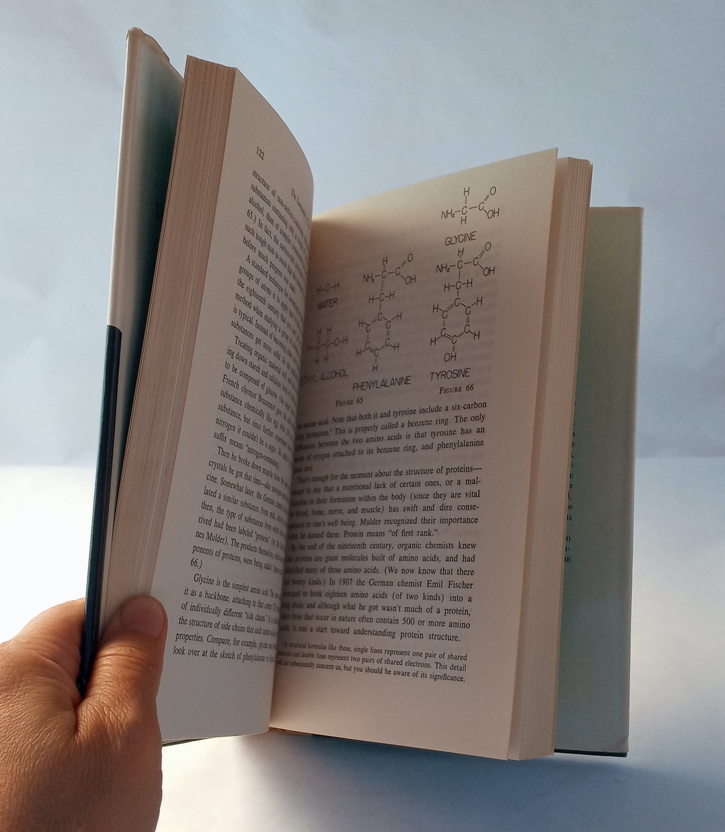 The Language of Life: an Introduction to the Science of Genetics book cover