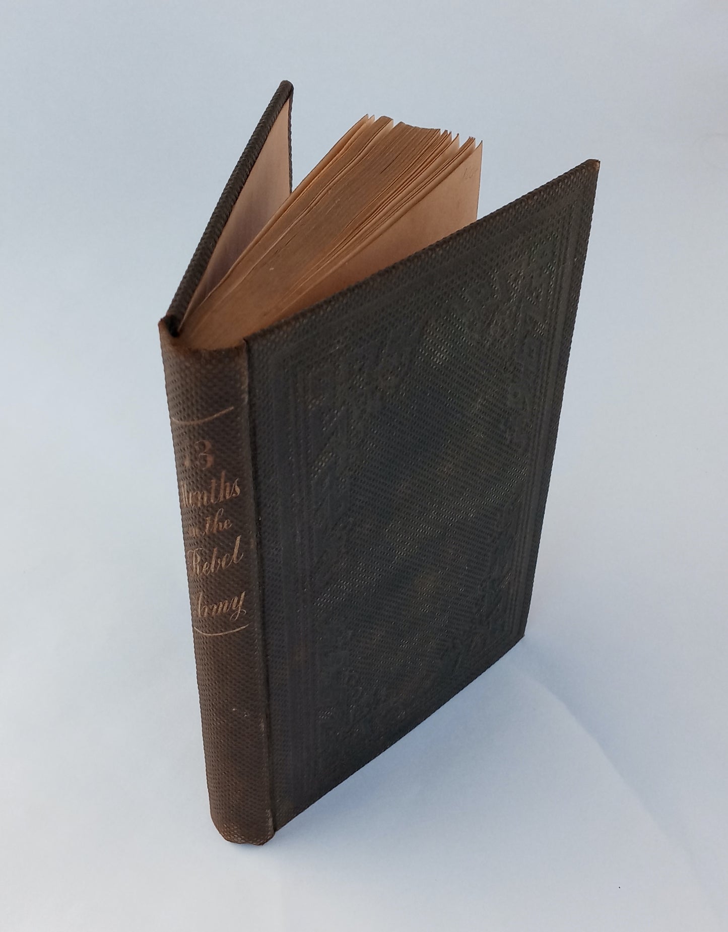 Thirteen Months in the Rebel Army, being a narrative of personal adventures in the infantry, ordnance, cavalry, courier, and hospital services, with an exhibition of the power, purposes, earnestness, military despotism, and demoralization of the South, by