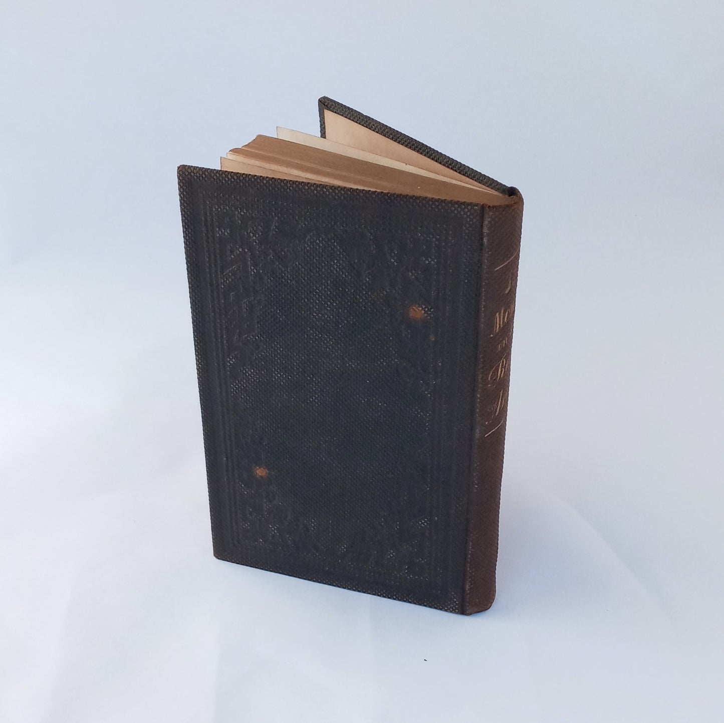 Thirteen Months in the Rebel Army, being a narrative of personal adventures in the infantry, ordnance, cavalry, courier, and hospital services, with an exhibition of the power, purposes, earnestness, military despotism, and demoralization of the South, by