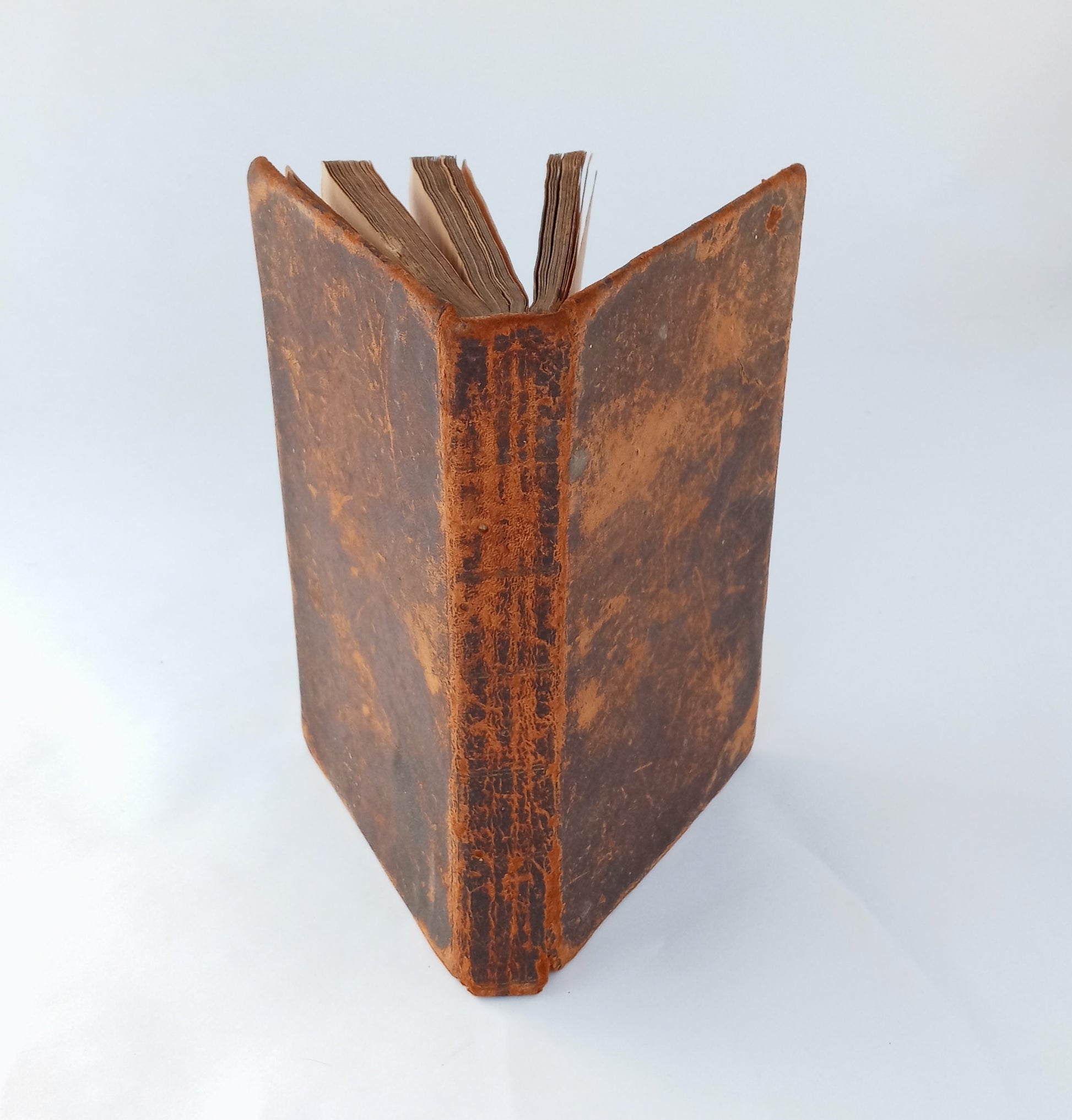 Sketches of Sermons Preached to Congregations in Various Parts of Great Britain and on the European Continent; furnished by their respective authors, vol. V. book cover