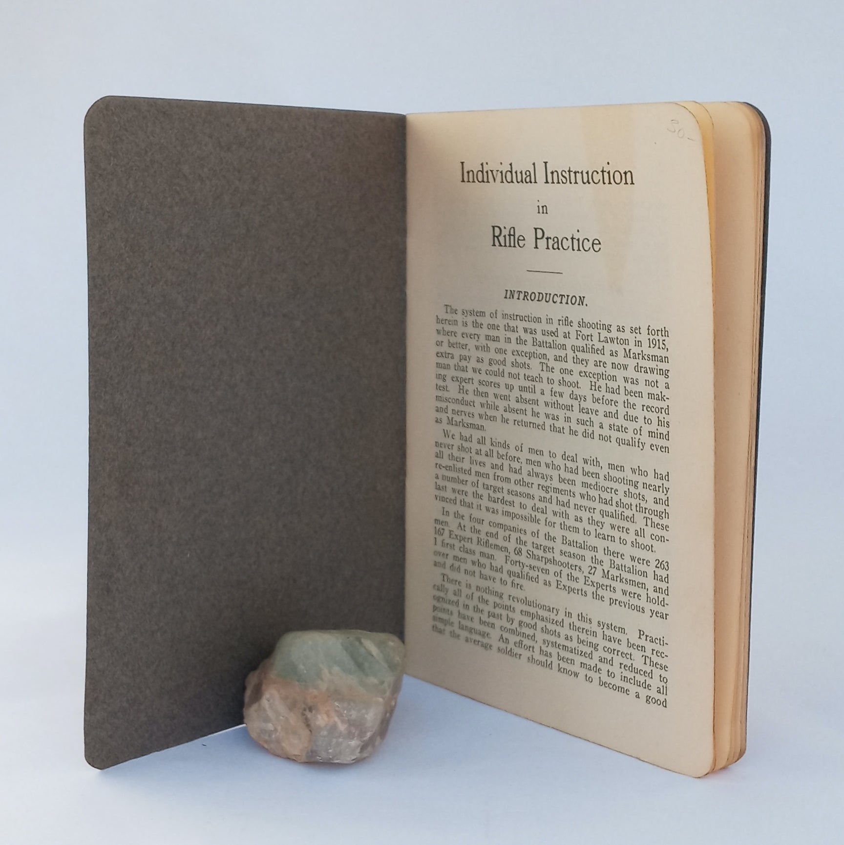 Individual Instruction in Rifle Practice book cover