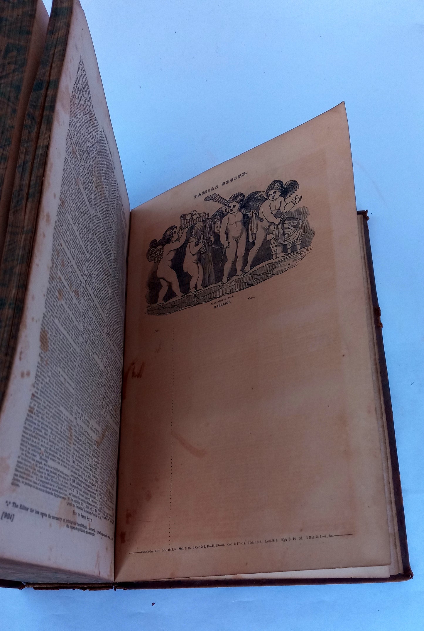 The Comprehensive Commentary on the Holy Bible; the text according to the authorized version; with marginal references; Matthew Henry's commentary, condensed but retaining the most useful thoughts; the practical observations of Rev. Thomas Scott, D.D., vo