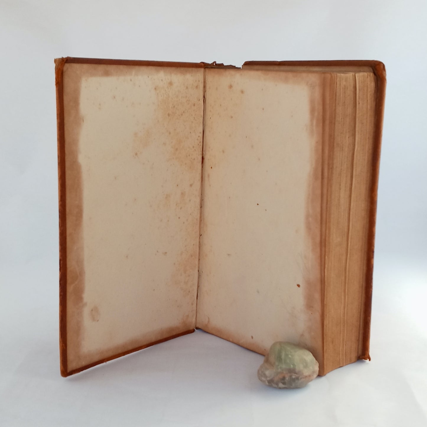 The Dramatic Works of William Shakespeare, accurately printed from the text of the corrected copy left by the late George Stevens, Esq., with a glossary and notes, and a sketch of the life of Shakespeare. In two volumes, vol. II ONLY book cover
