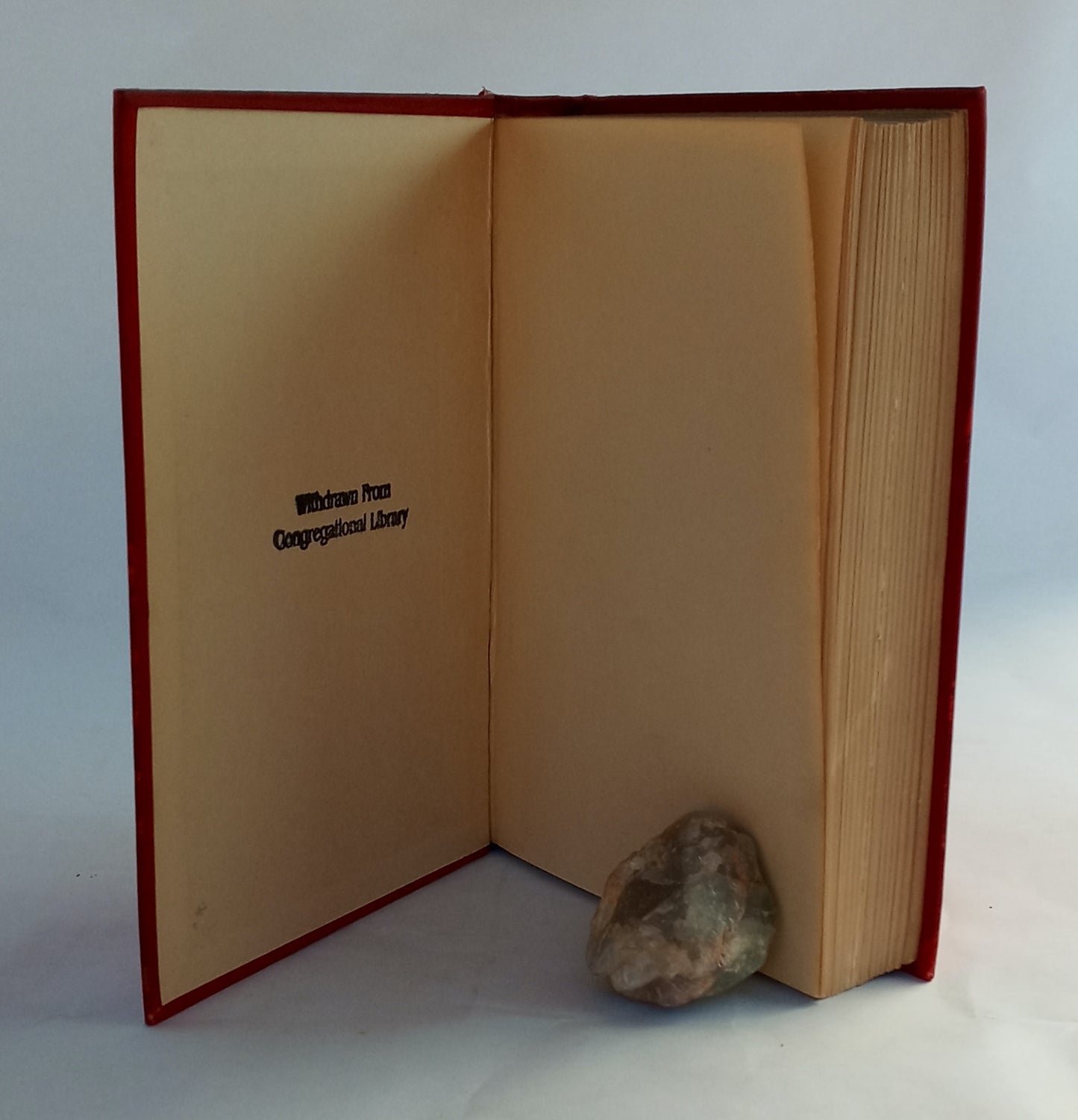 Modern Science and the Illusions of Professor Bergson book cover