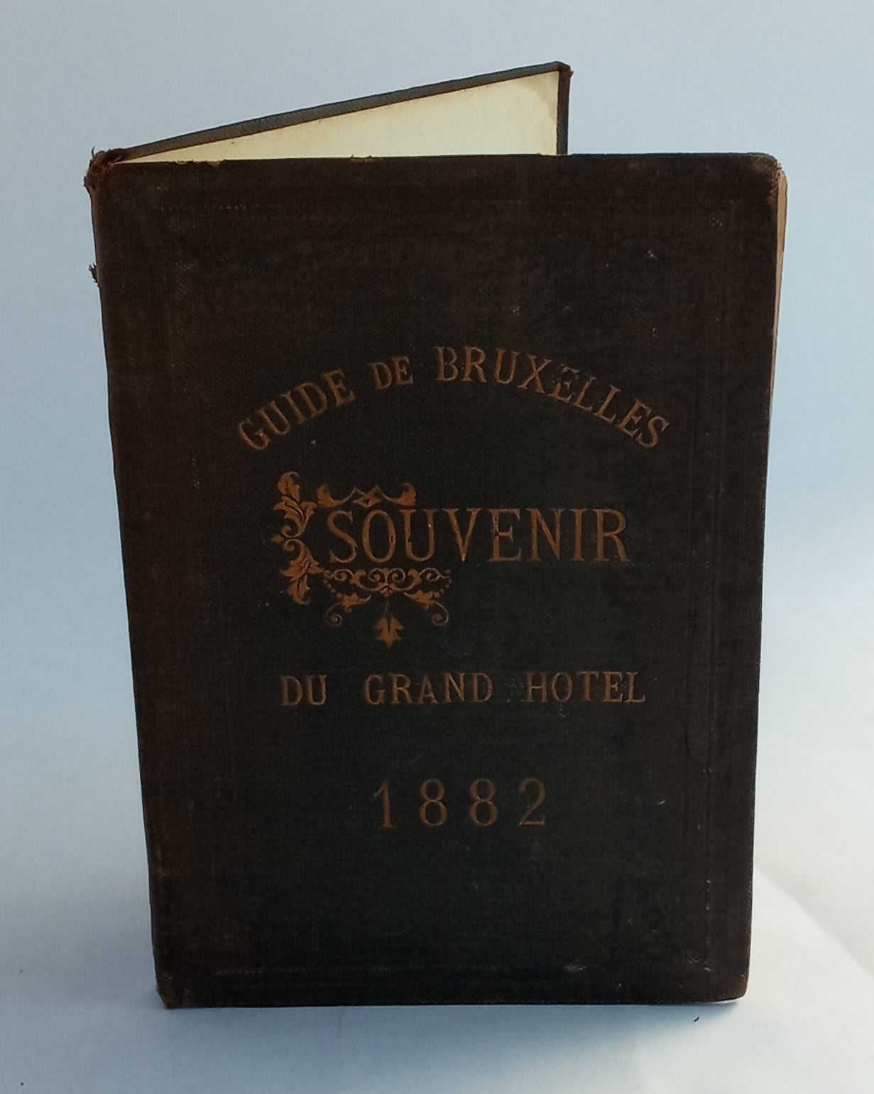 Guide de Bruxelles, Souvenir du Grand Hotel, 1882 book cover