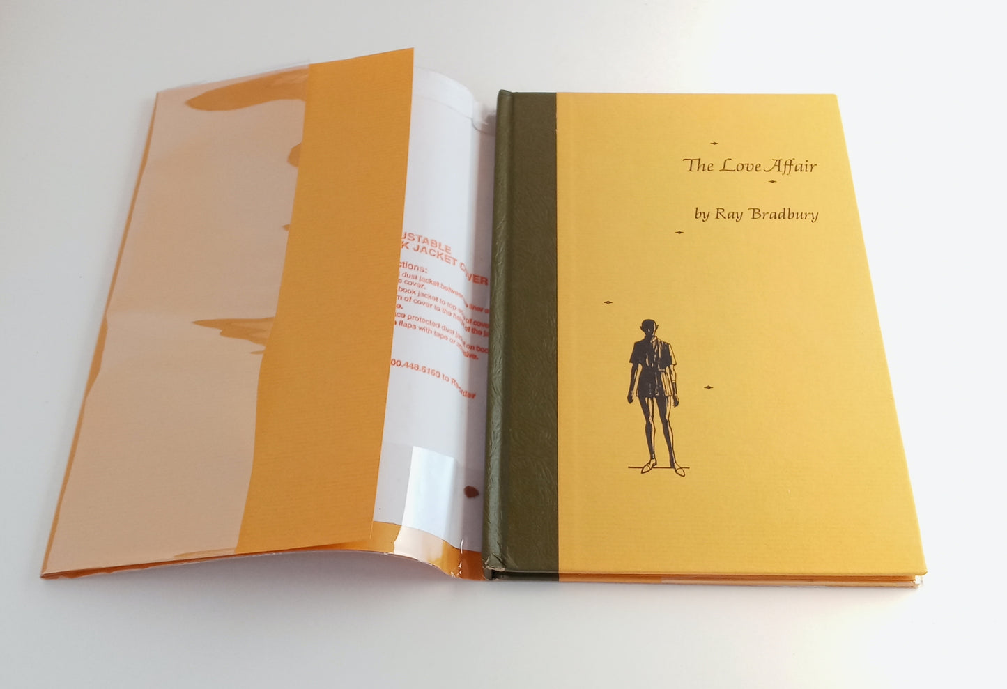 The Love Affair: A Short Story and Two Poems book cover