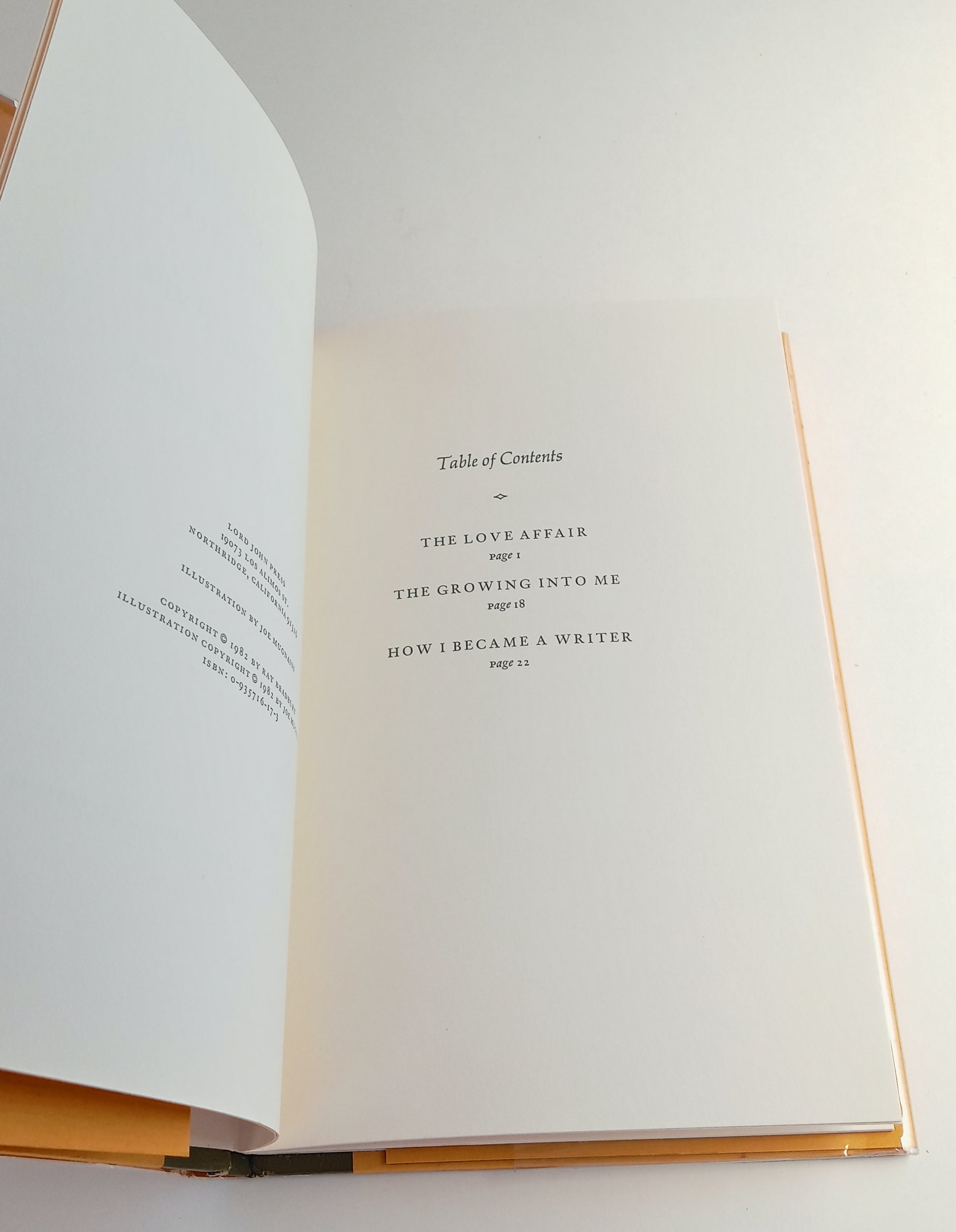 The Love Affair: A Short Story and Two Poems book cover