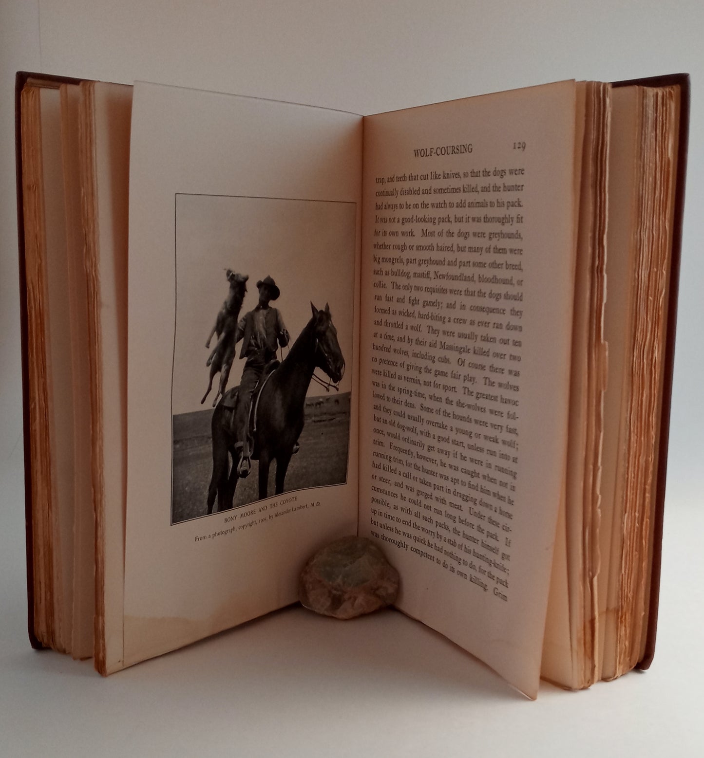 Outdoor Pastimes of an American Hunter book cover