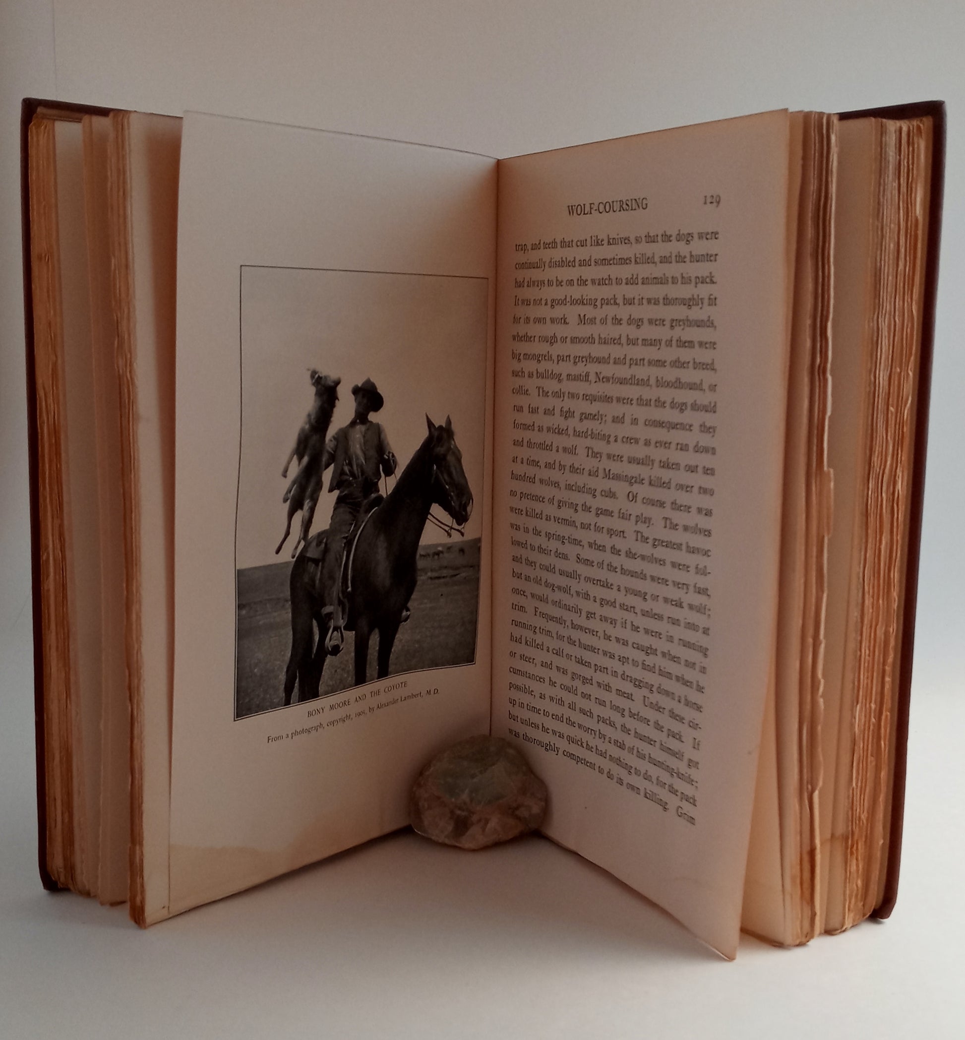 Outdoor Pastimes of an American Hunter book cover