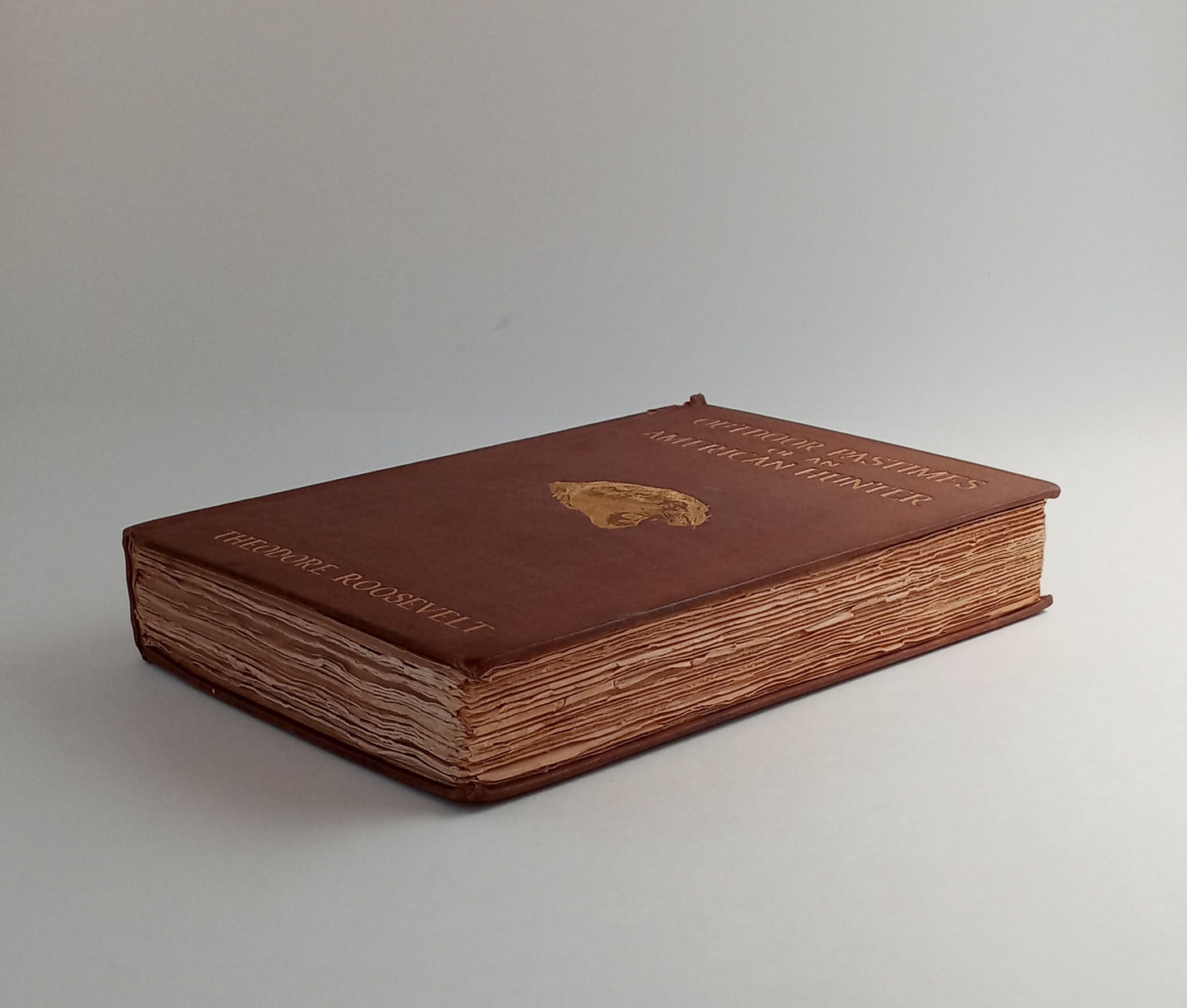 Outdoor Pastimes of an American Hunter book cover