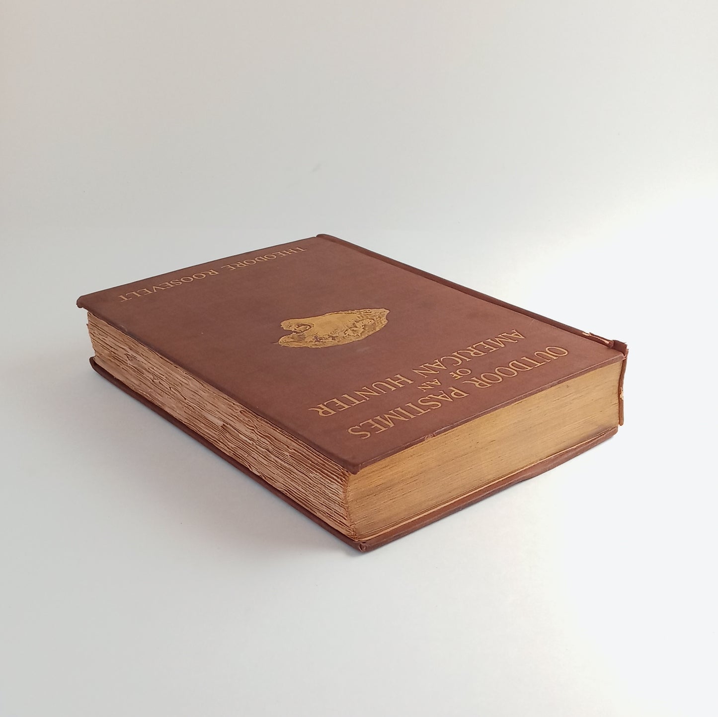 Outdoor Pastimes of an American Hunter book cover