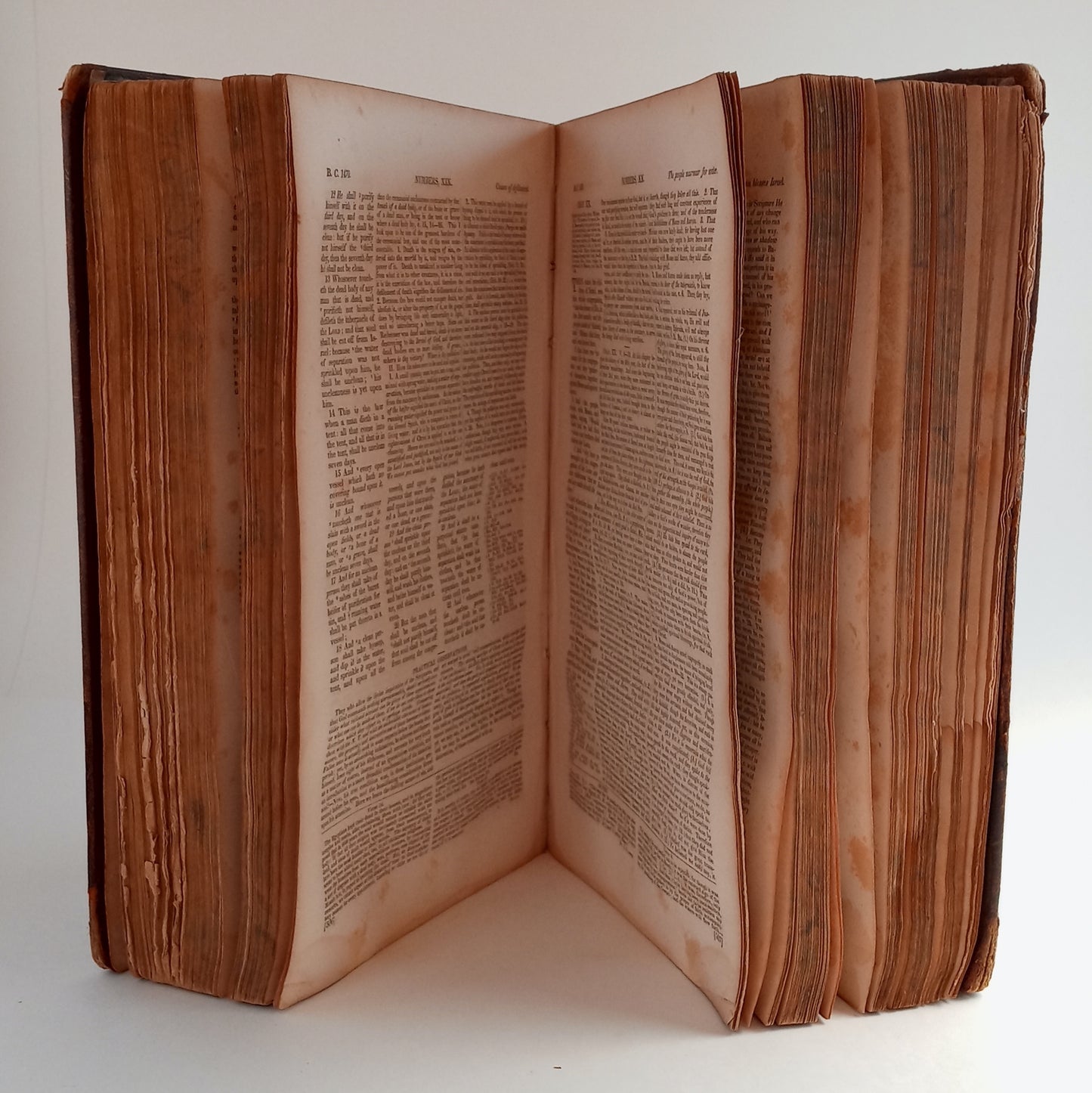 The Comprehensive Commentary of the Holy Bible, containing the text according to the authorised version; Scott's marginal references; Matthew Henry's commentary, condensed, but containing every useful thought; the practical observations of Rev. Thomas Sco