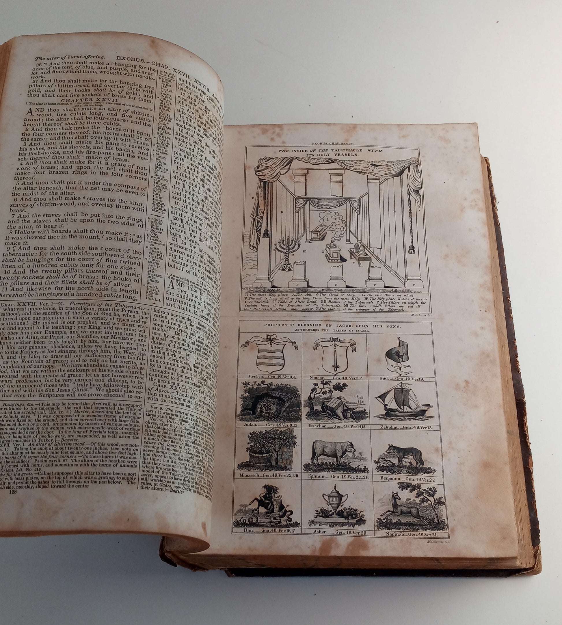 The Cottage Bible, and Family Expositor; containing the Old and New Testaments, with Practical Expositions and Explanatory Notes. Volume I ONLY. book cover