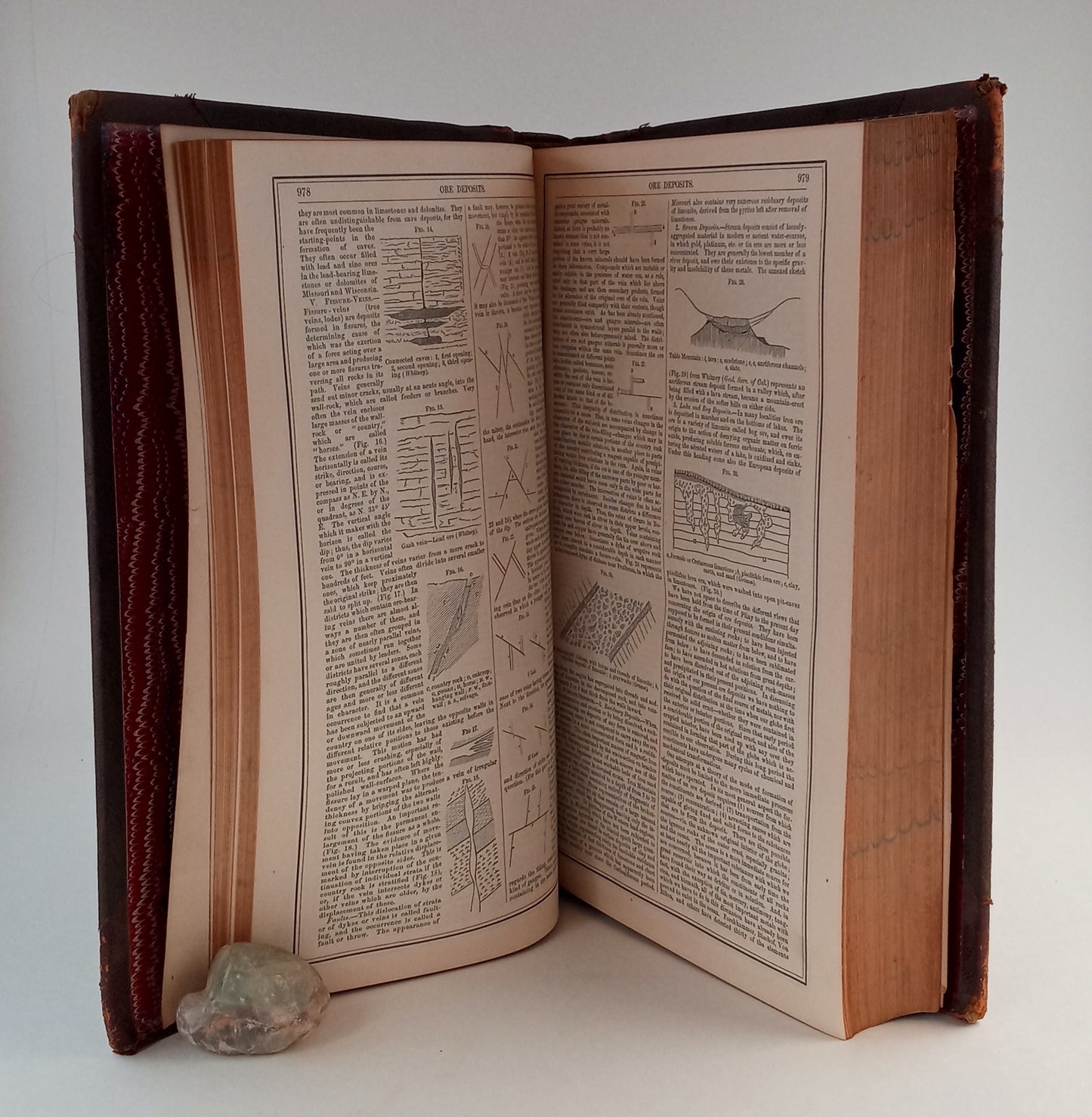 Johnson's New Universal Cyclopaedia: A Scientific and Popular Treasury of Useful Knowledge. Volume III, Part II ONLY. book cover