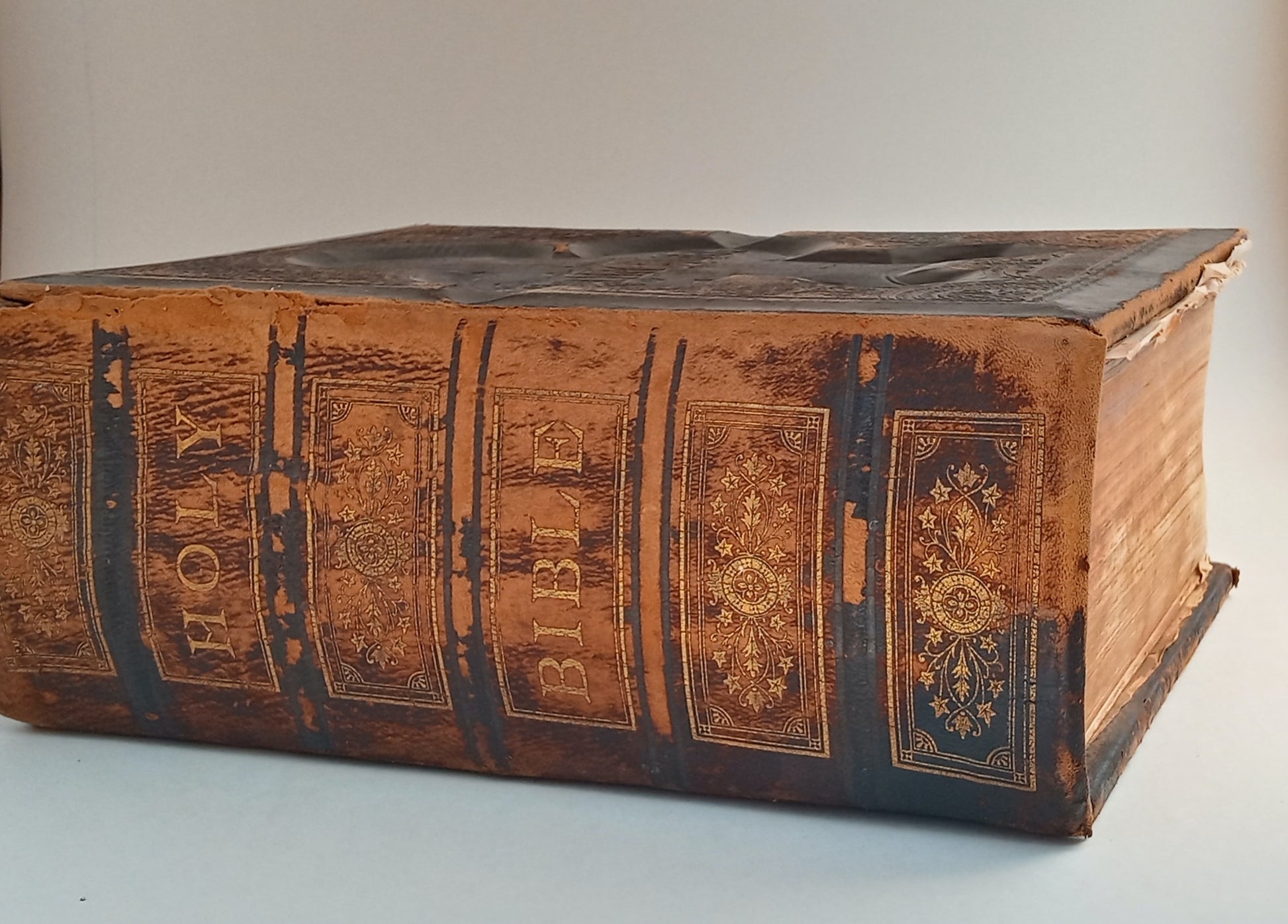 Brown's Self-Interpreting Family Bible, with copious critical and explanatory notes and practical reflections by the Rev. Joh Brown of Haddington, and many thousand marginal references and readings. Amies' New and Improved Edition. book cover