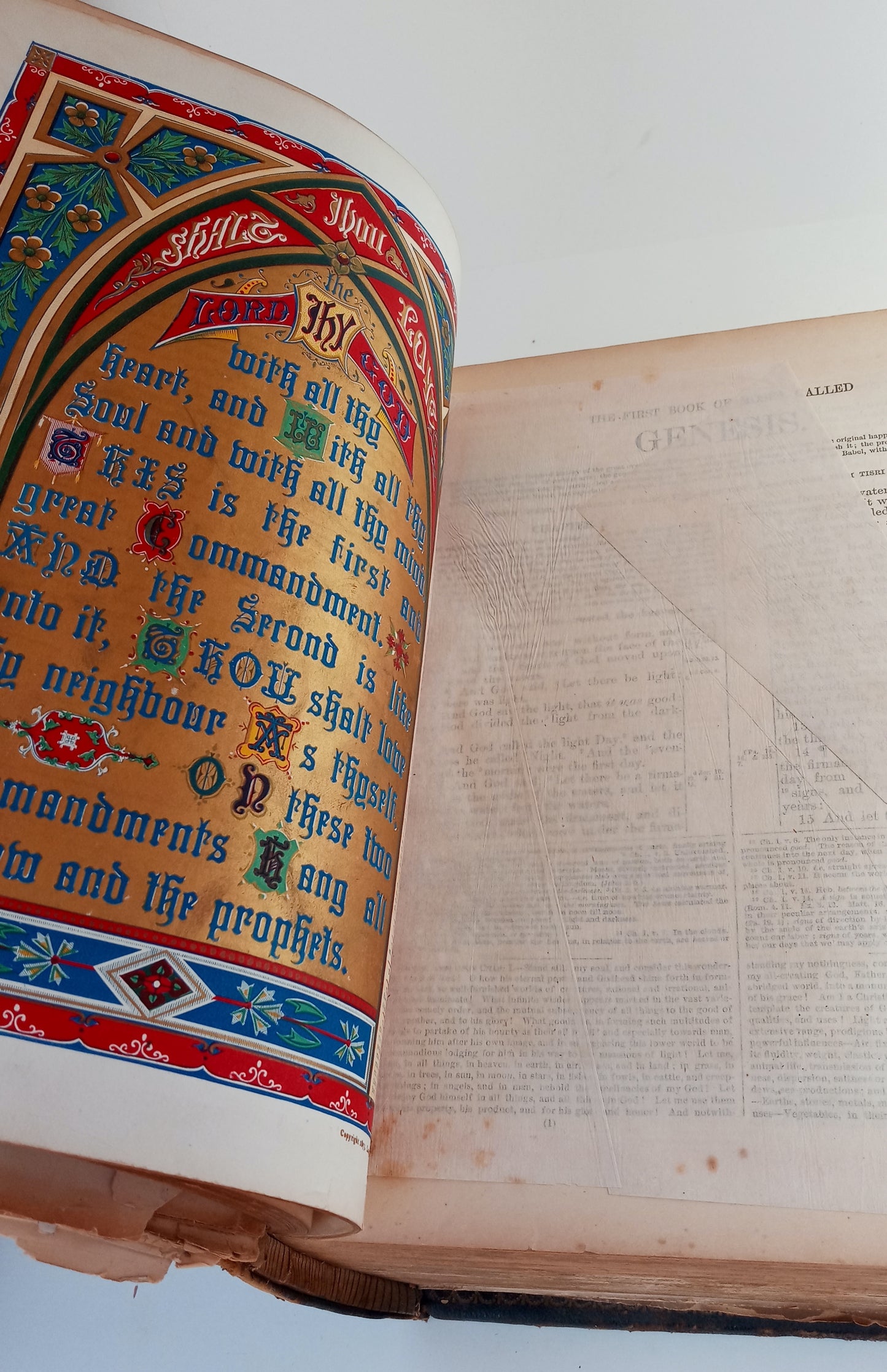 Brown's Self-Interpreting Family Bible, with copious critical and explanatory notes and practical reflections by the Rev. Joh Brown of Haddington, and many thousand marginal references and readings. Amies' New and Improved Edition. book cover