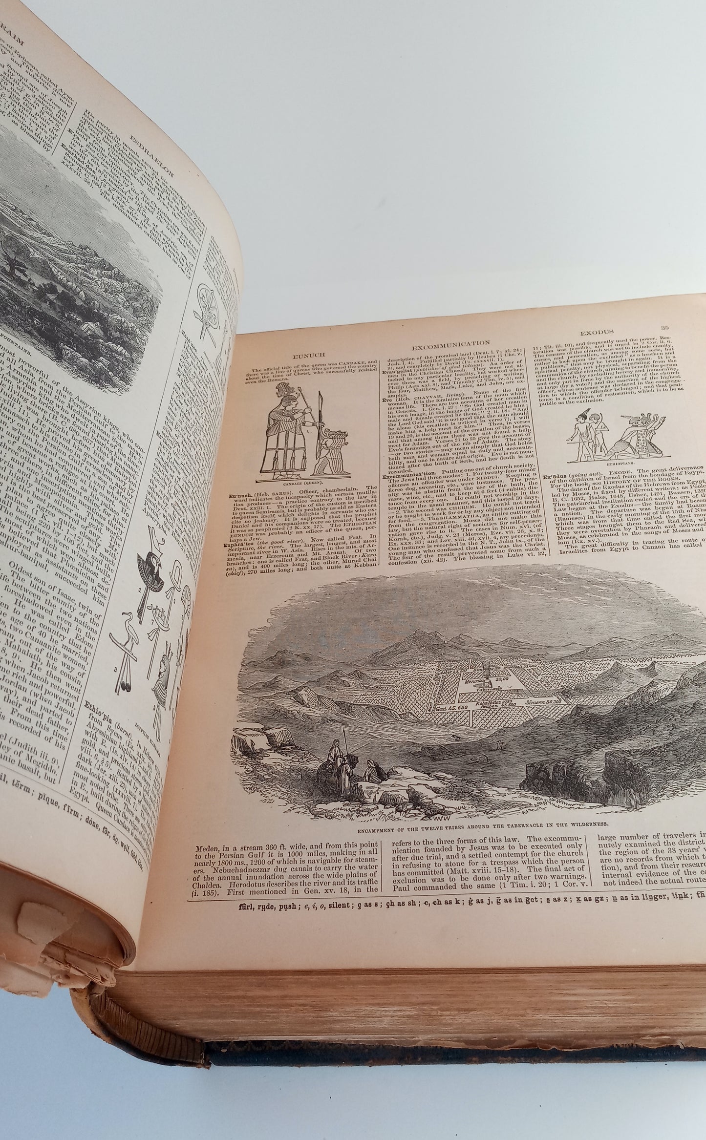 Brown's Self-Interpreting Family Bible, with copious critical and explanatory notes and practical reflections by the Rev. Joh Brown of Haddington, and many thousand marginal references and readings. Amies' New and Improved Edition. book cover