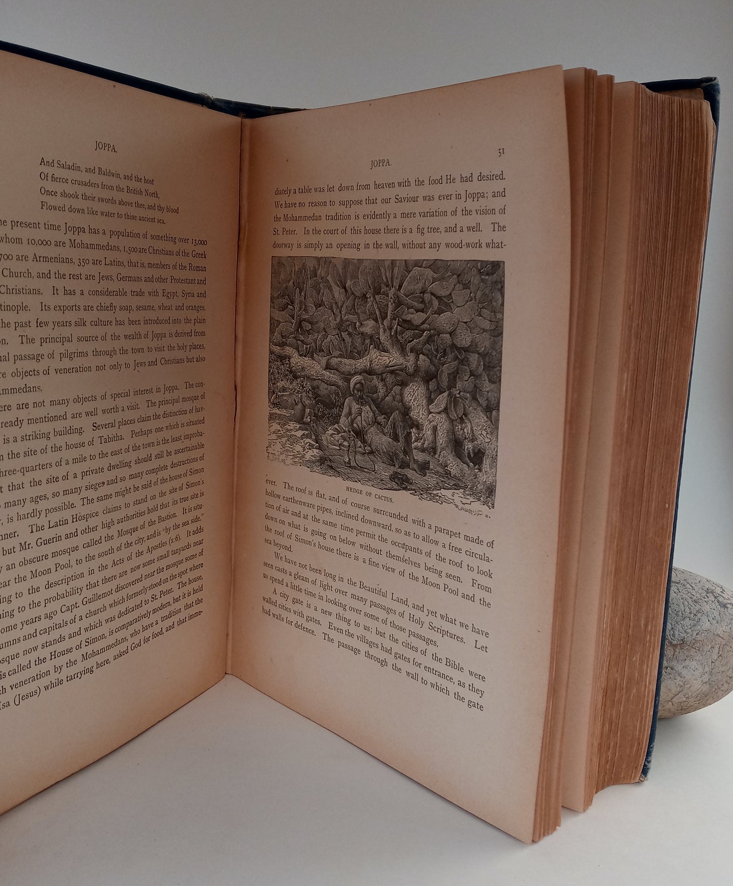 The Beautiful Land. Palestine, Historical, Geographical, and Pictorial: Described and Illustrated As It Was and As It Is Now, Along the Lines of Our Savior's Journeys. book cover