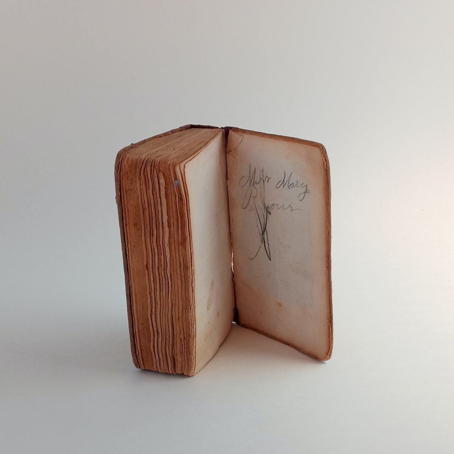 The American Sunday School Hymn Book book cover