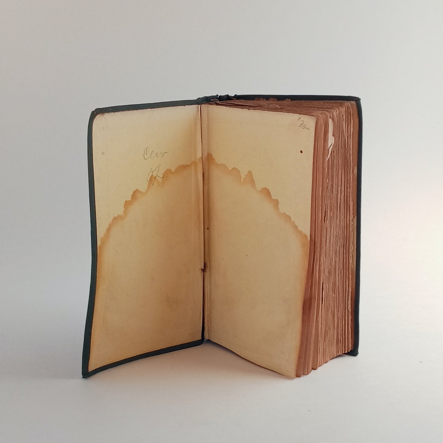 The History of the Discovery and Conquest of America, abridged book cover