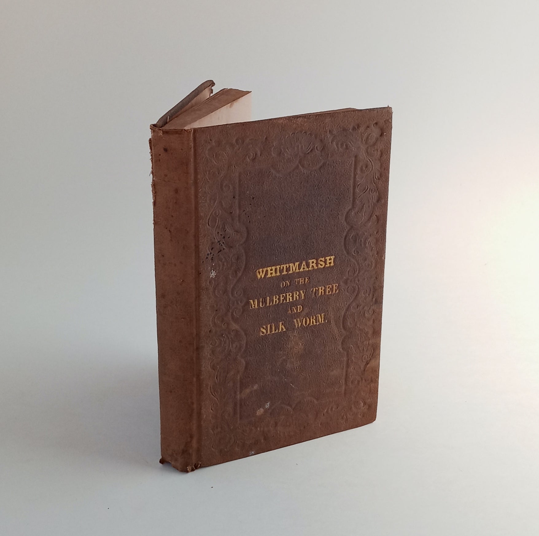 Eight Years Experience and Observation in the Culture of the Mulberry Tree, and in the Care of the Silk Worm. With remarks adapted to the American system of producing raw silk for exportation. book cover
