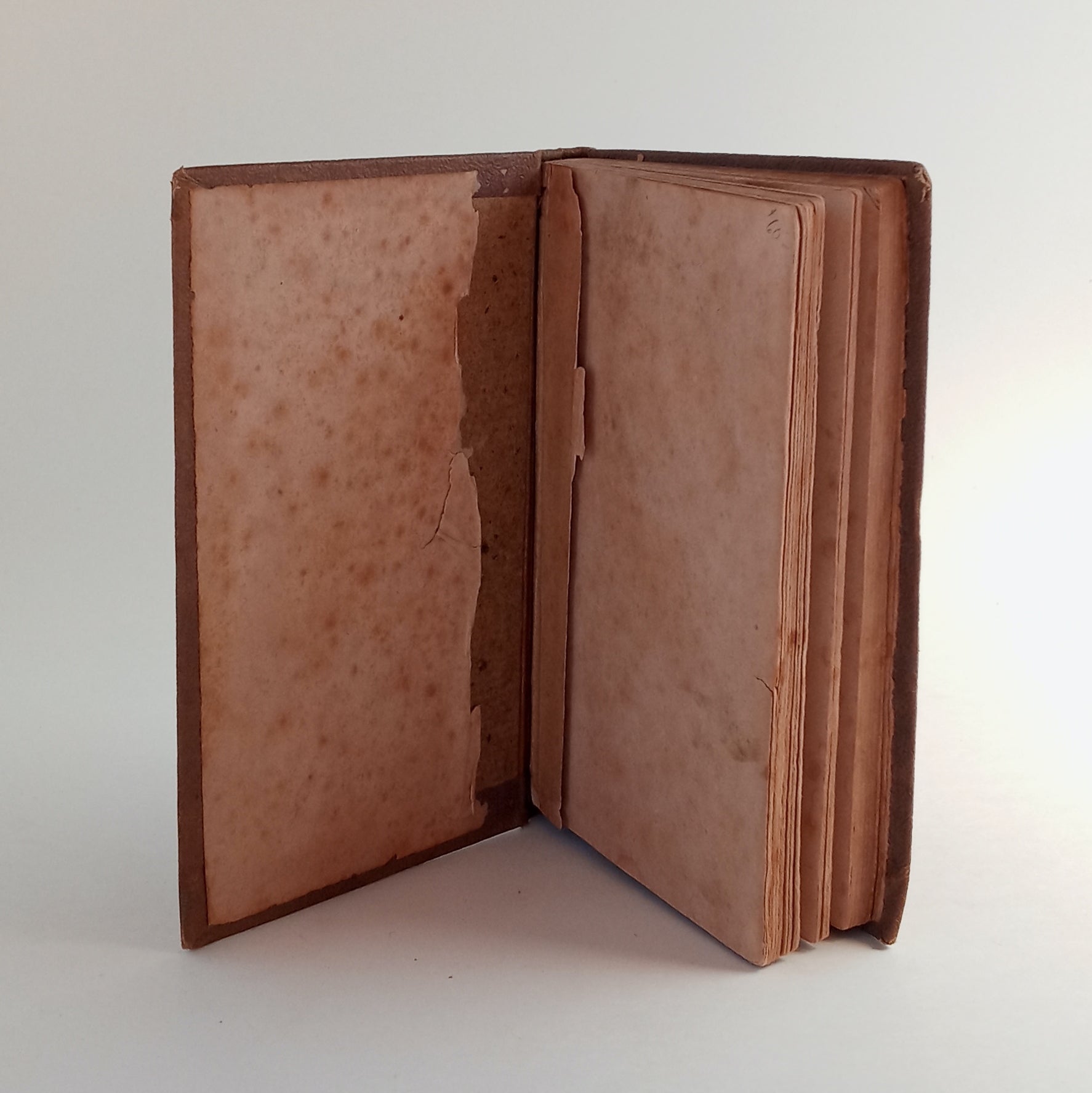 Eight Years Experience and Observation in the Culture of the Mulberry Tree, and in the Care of the Silk Worm. With remarks adapted to the American system of producing raw silk for exportation. book cover