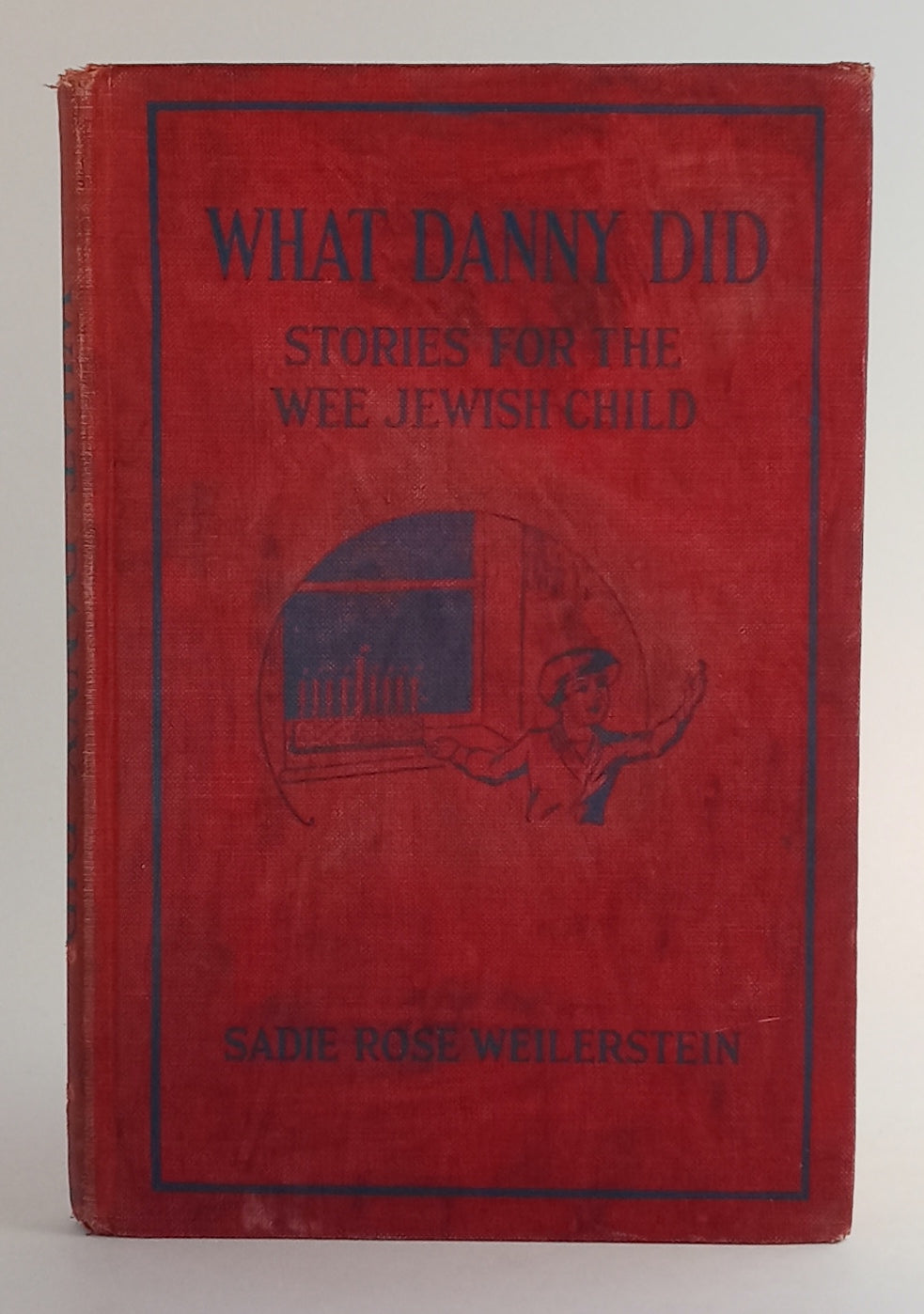 What Danny Did: Stories for the Wee Jewish Child book cover