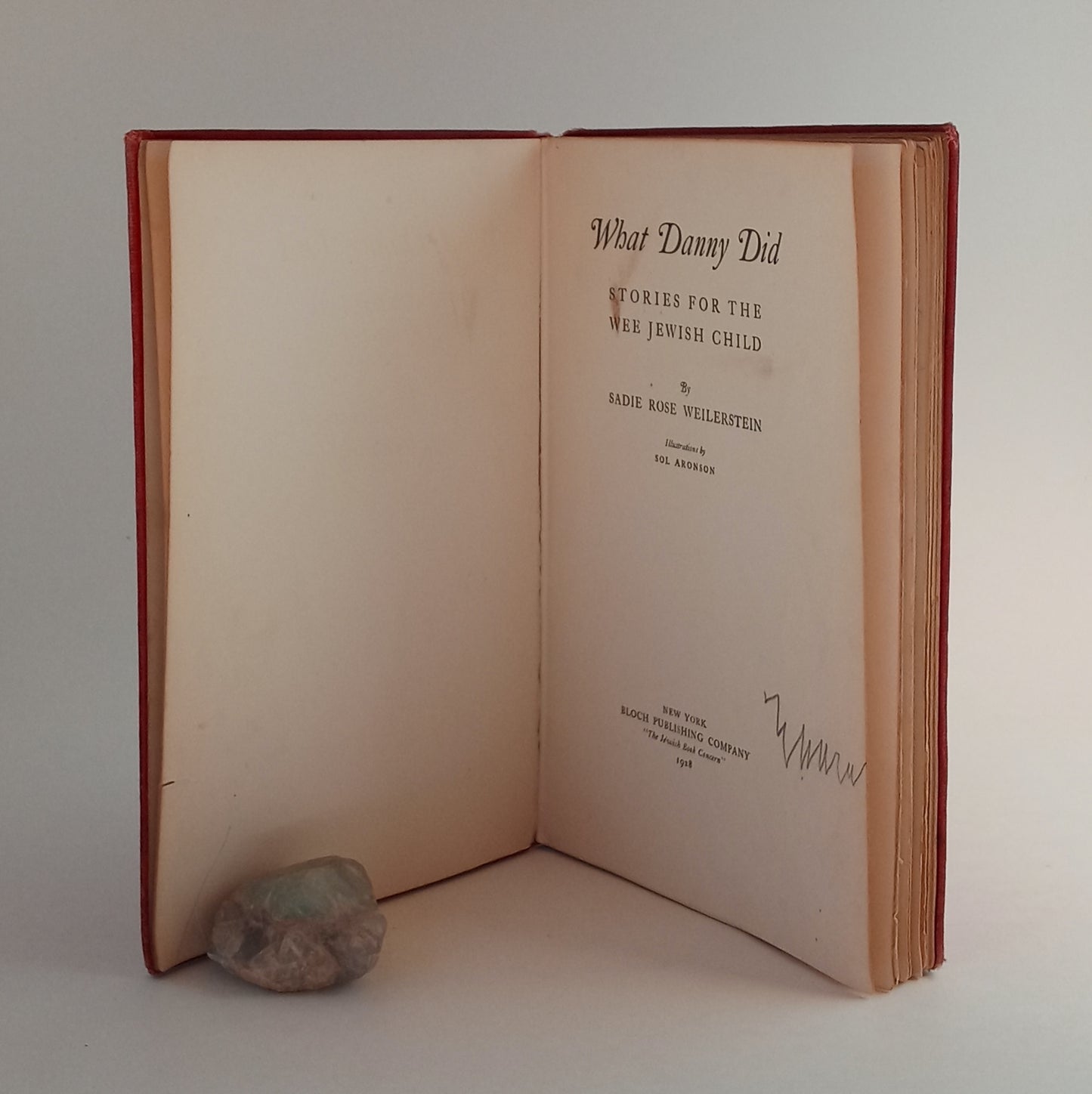 What Danny Did: Stories for the Wee Jewish Child book cover