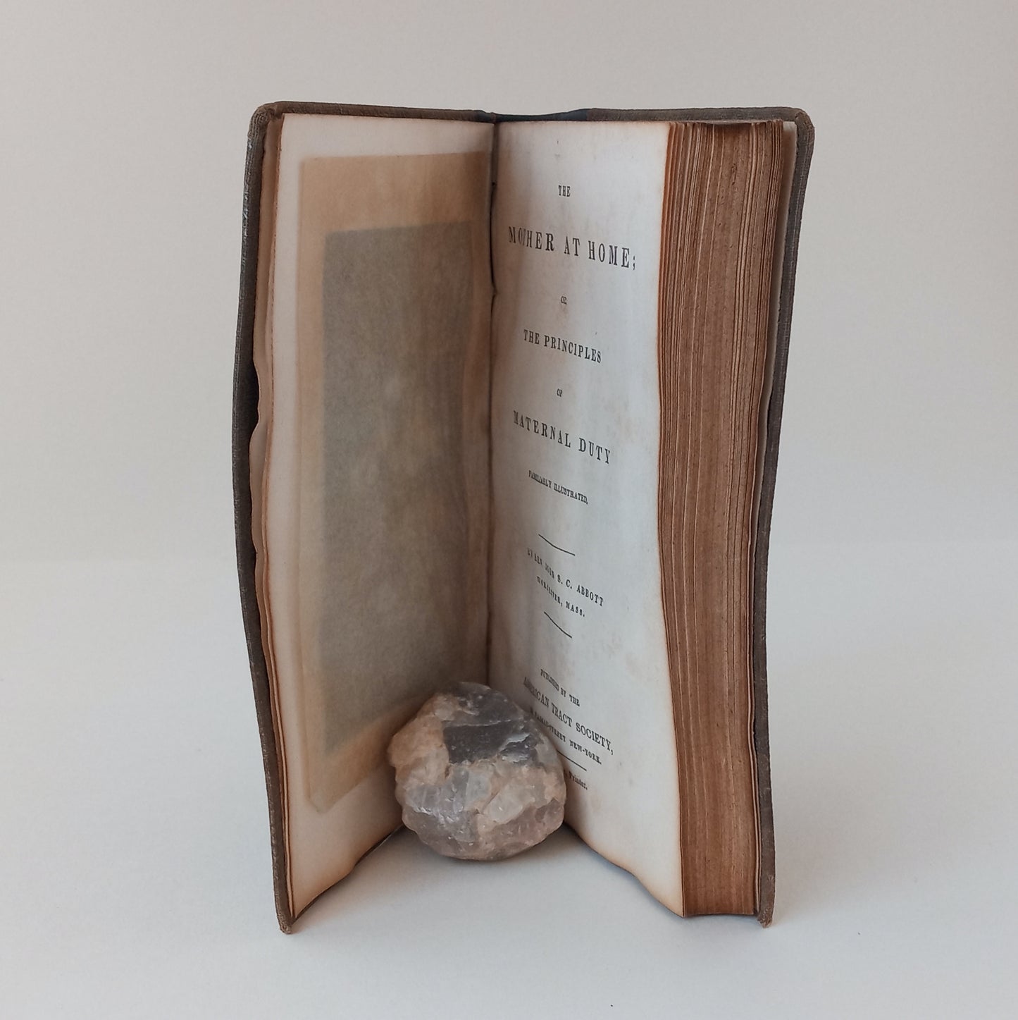 The Mother at Home, or the Principles of Maternal Duty book cover